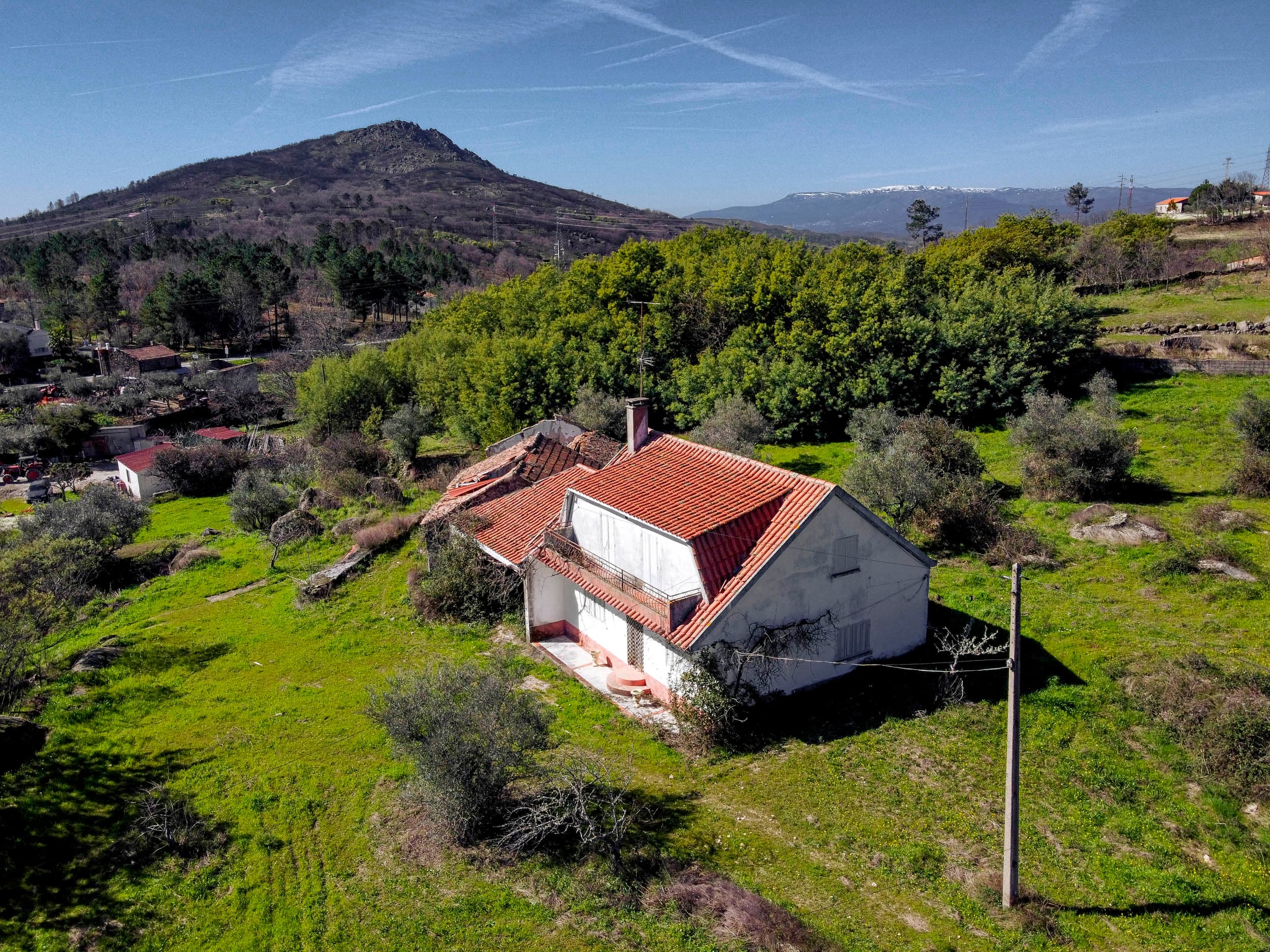 Big Farmhouse with 11500m² land - Image 1