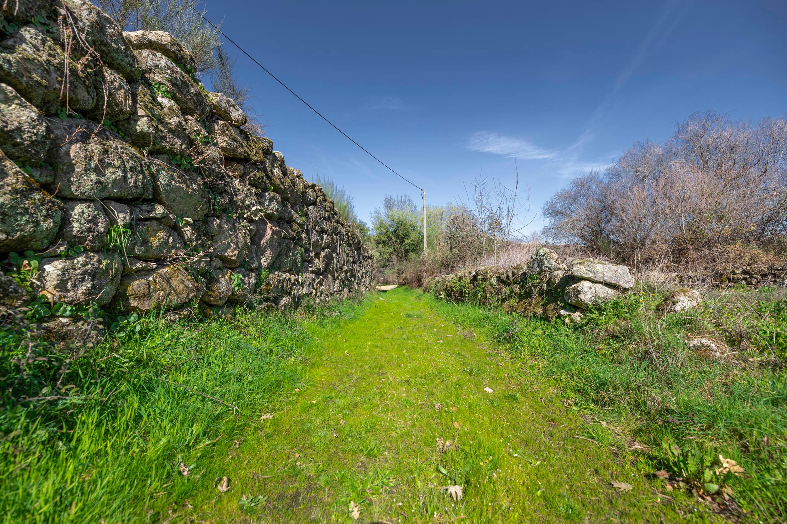 6,000 m² of Tranquil Forest with Meadow and Water - Image 3