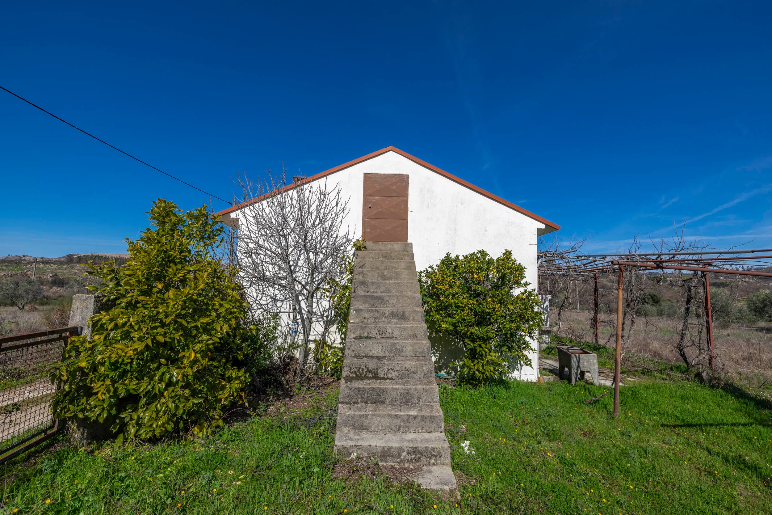 4 ha with 2 buildings of tranquility with olive trees - Image 3