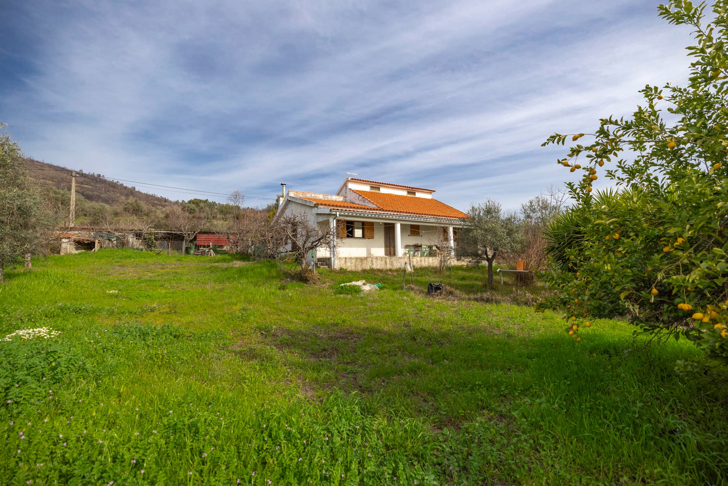 Beautiful House with big Garden at the Canal - Image 1