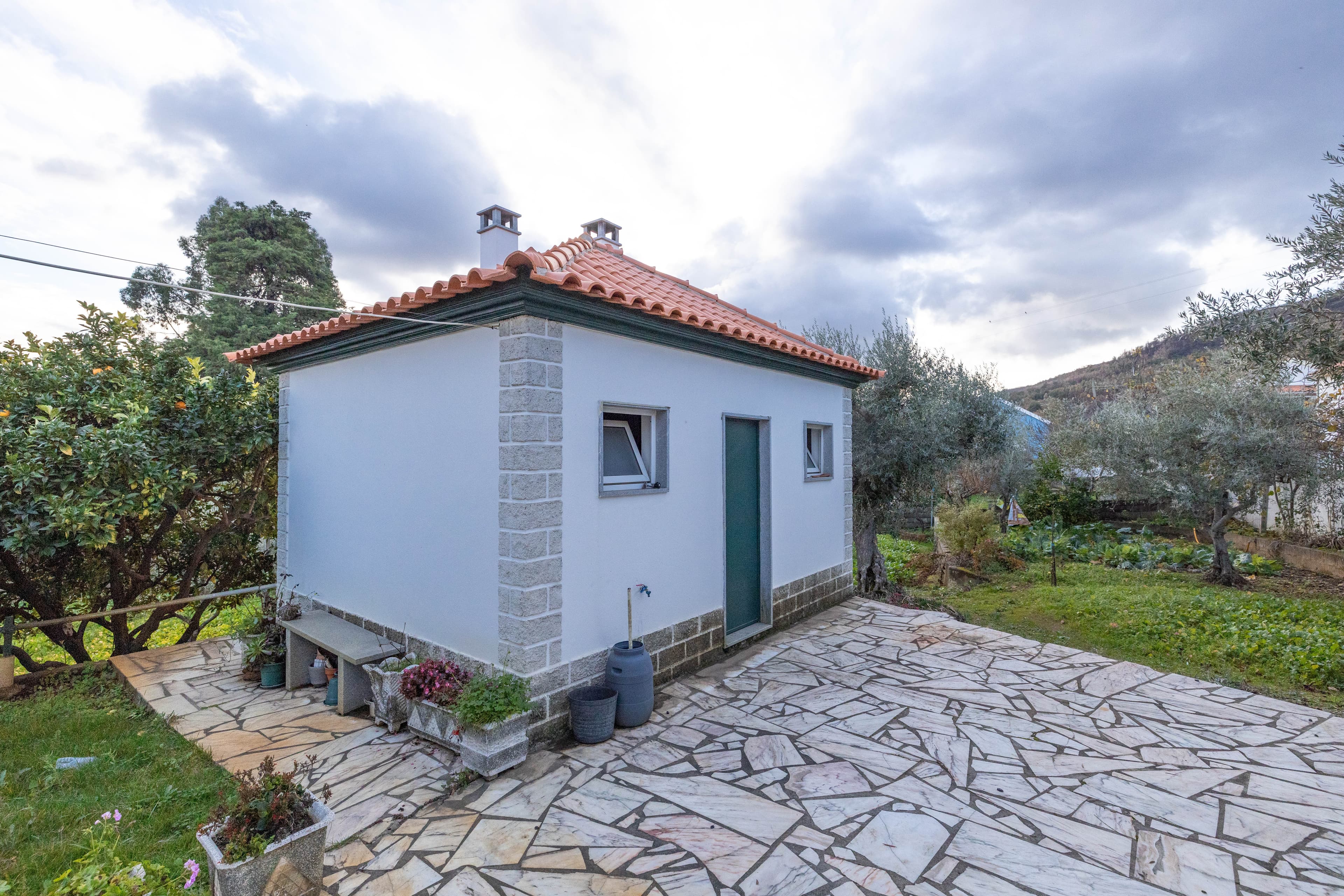 A Settled Home Among Olive Trees - Image 2