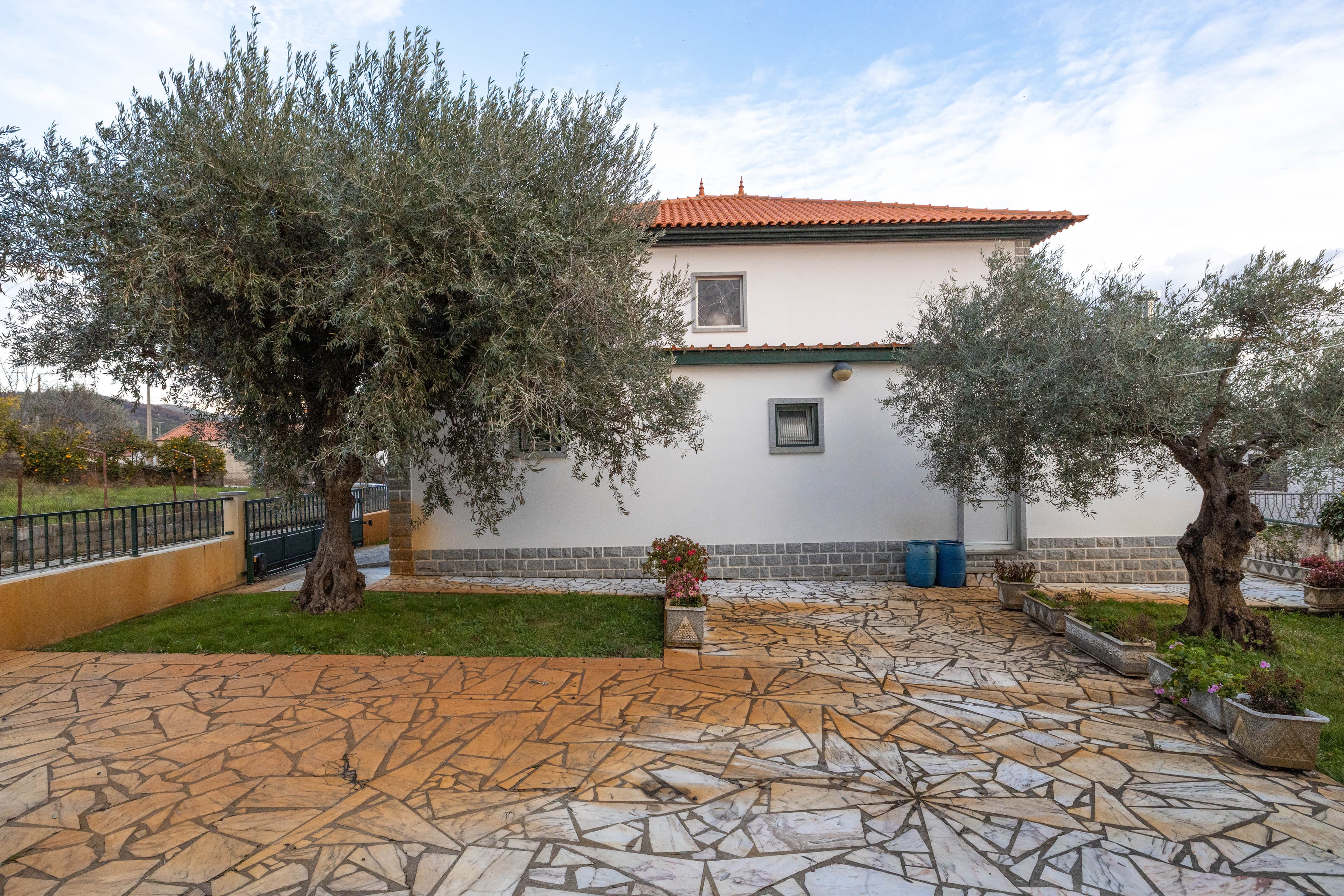 A Settled Home Among Olive Trees - Image 3