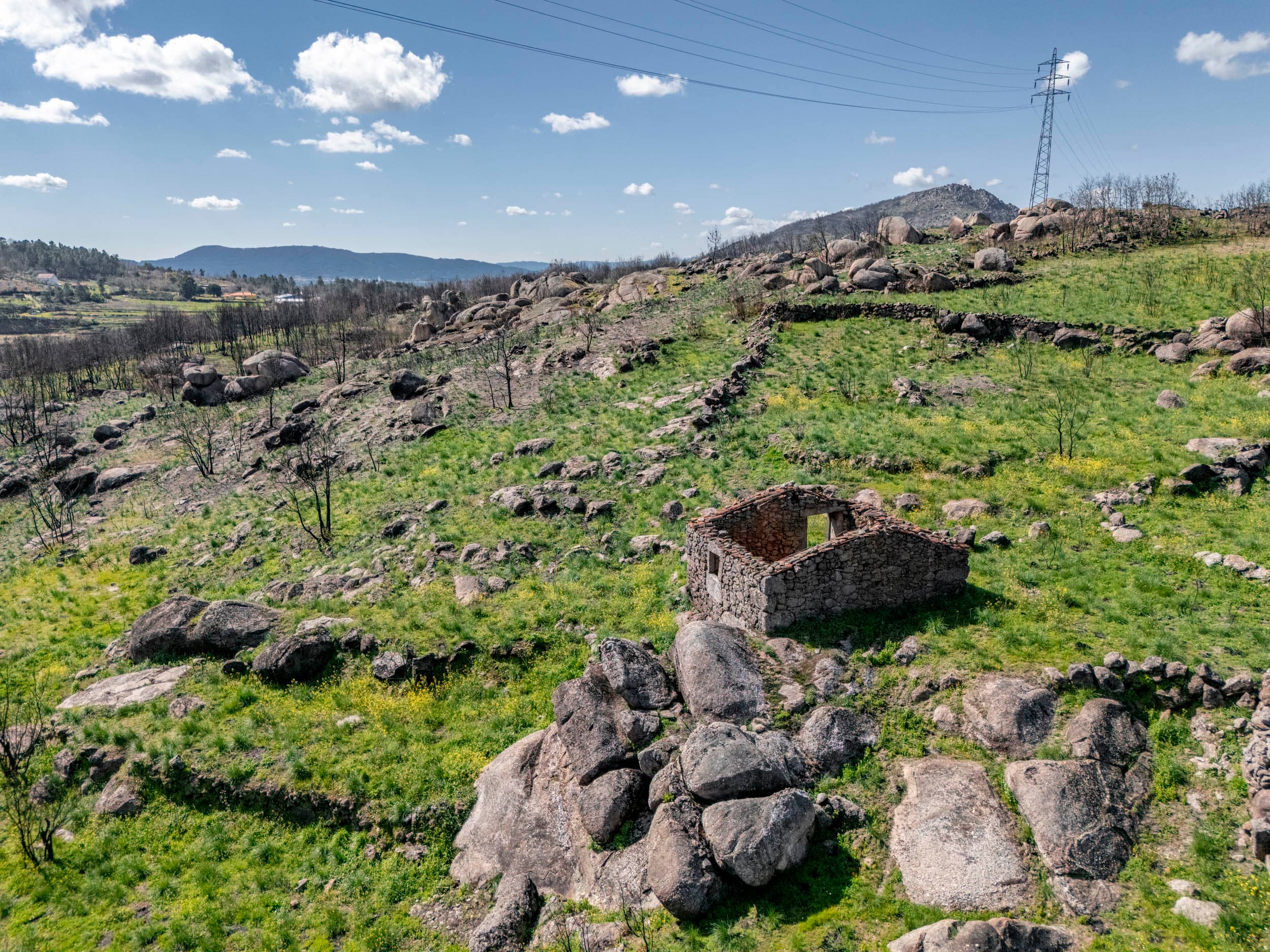 Terrain Rocailleux de 4 ha avec Ruine en Pierre et Éléments Aquatiques - Image 23