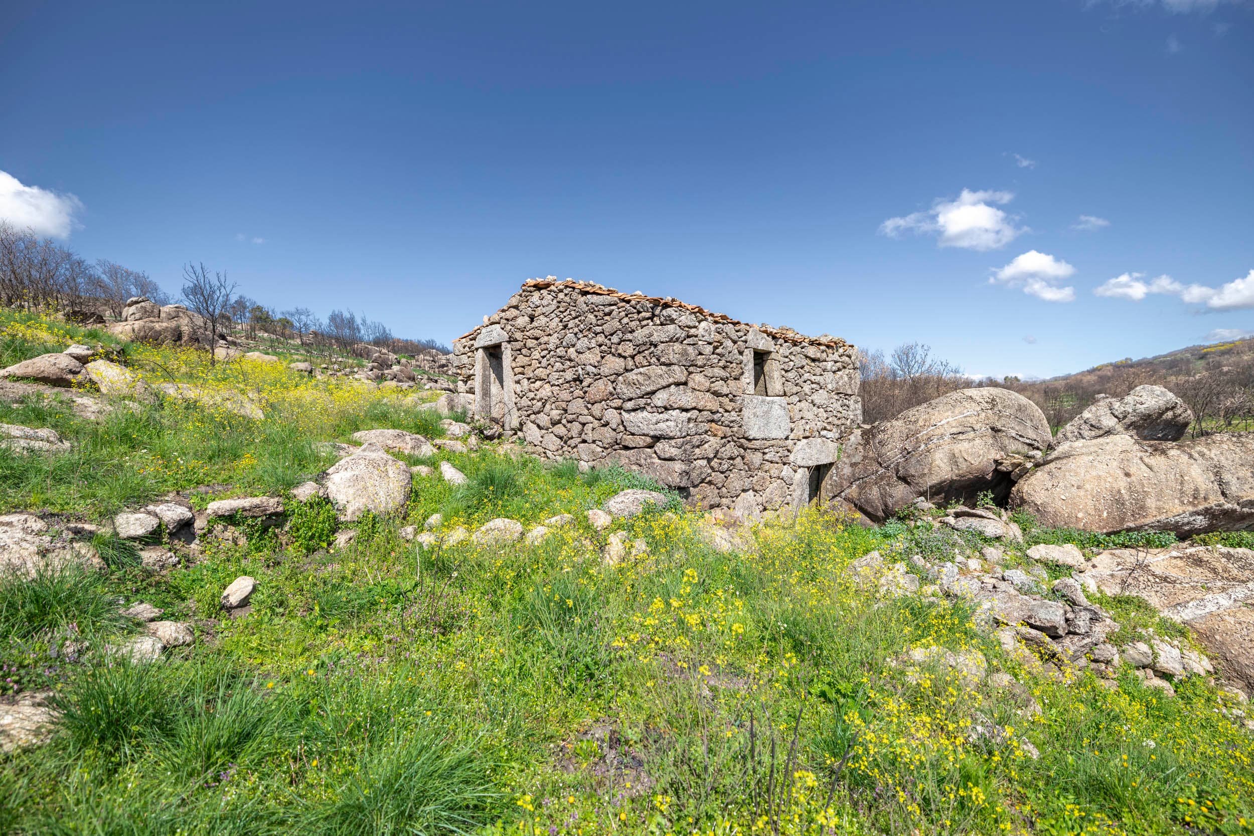 Terrain Rocailleux de 4 ha avec Ruine en Pierre et Éléments Aquatiques