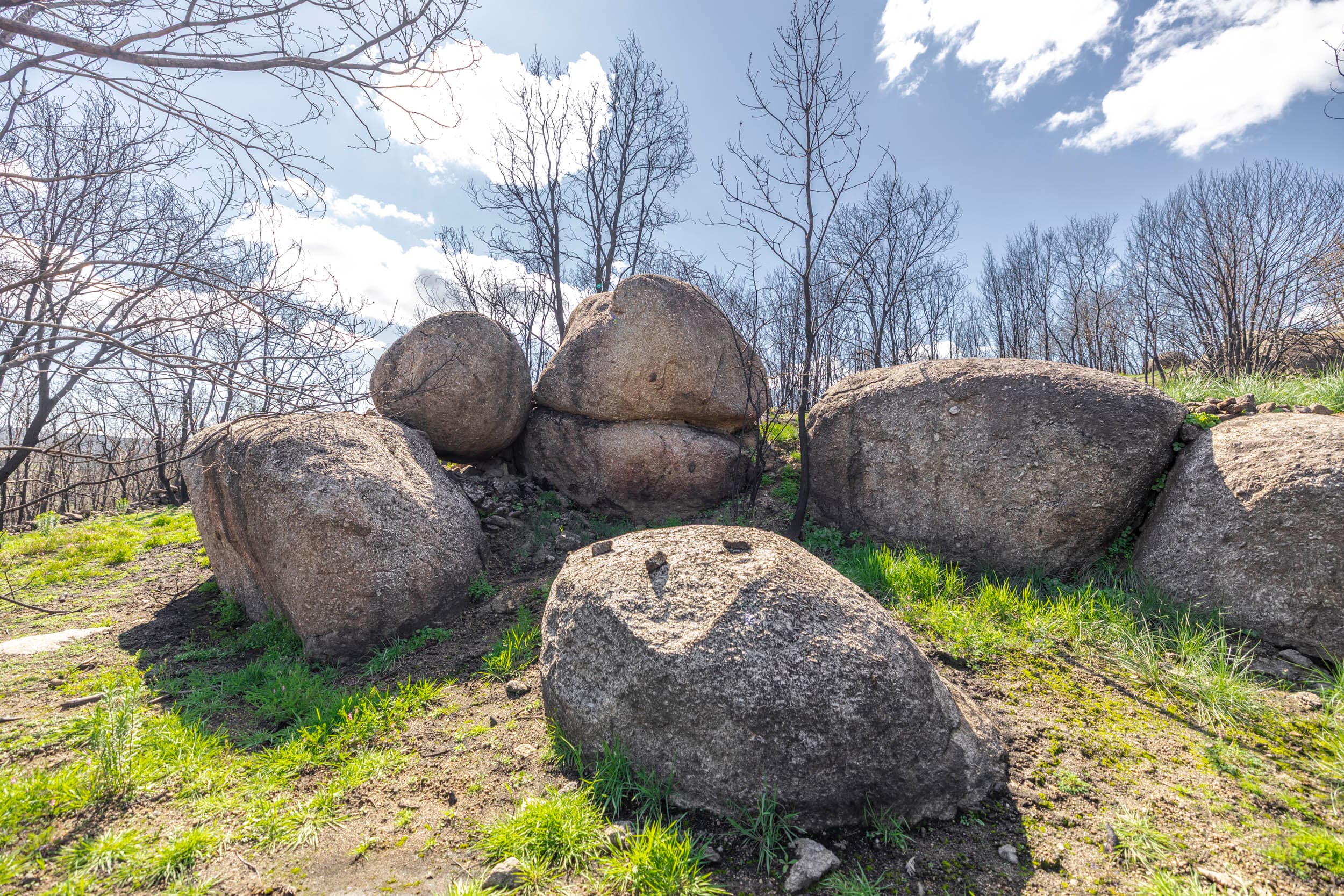 Terrain Rocailleux de 4 ha avec Ruine en Pierre et Éléments Aquatiques - Image 3