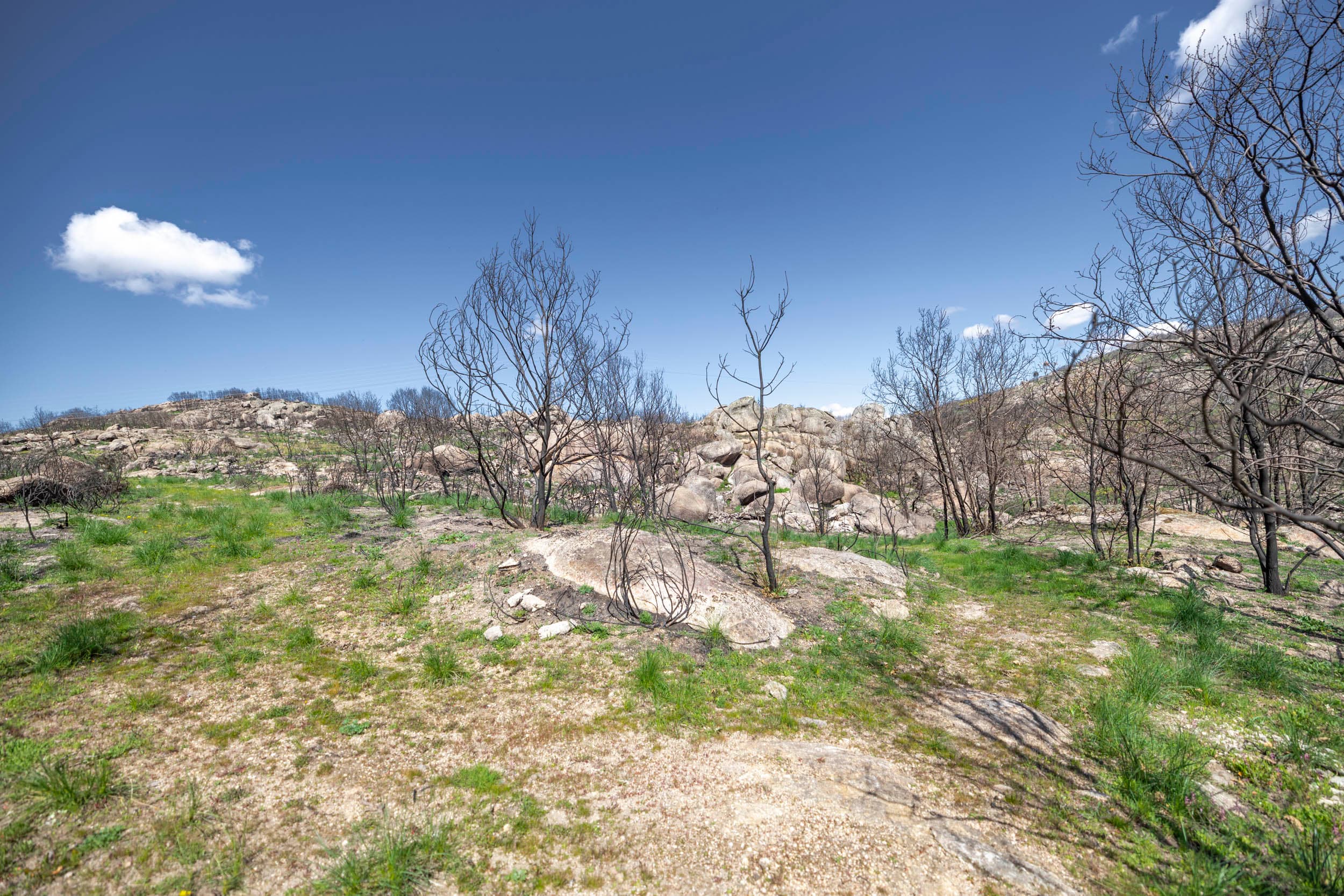 Terrain Rocailleux de 4 ha avec Ruine en Pierre et Éléments Aquatiques - Image 2