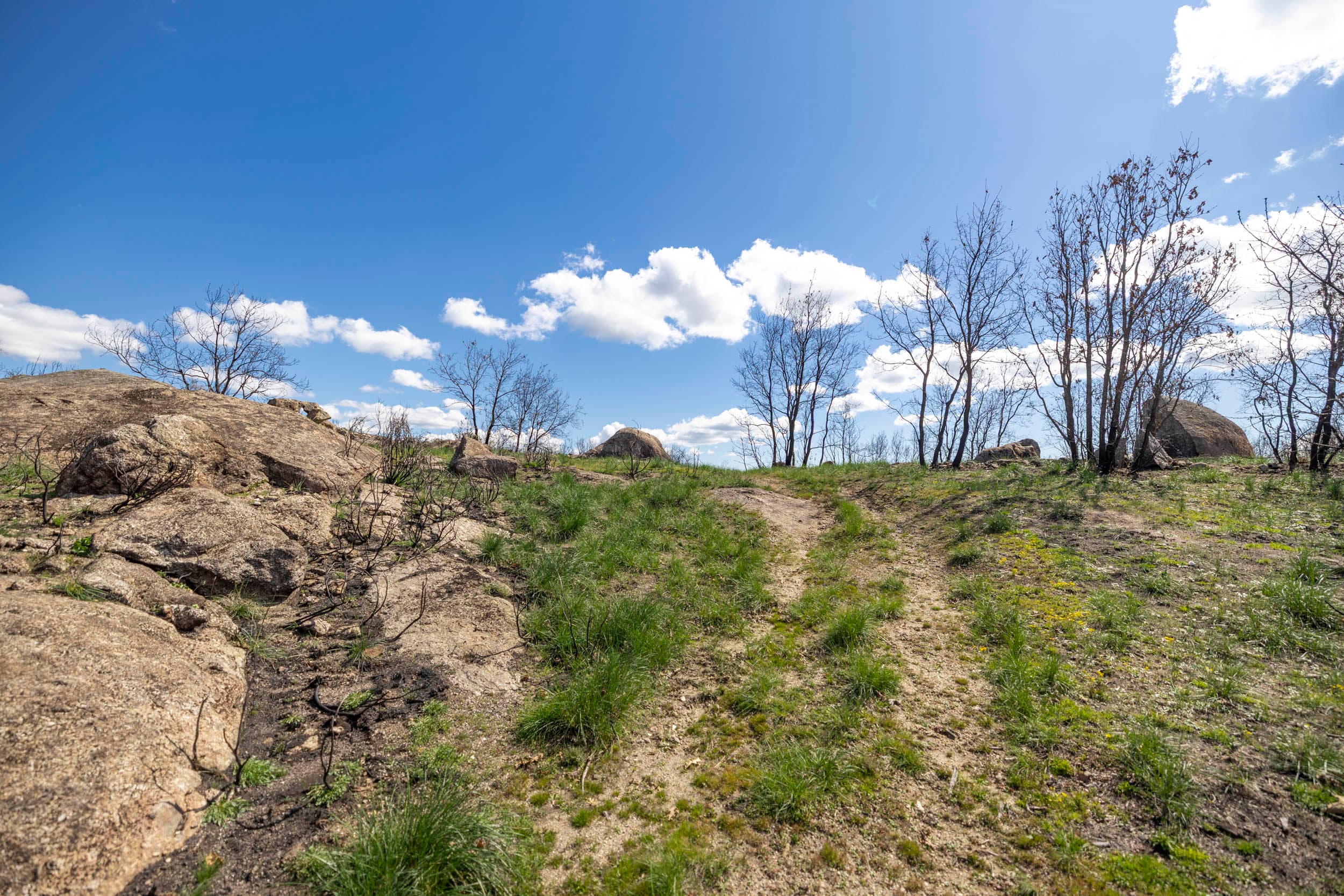 Terrain Rocailleux de 4 ha avec Ruine en Pierre et Éléments Aquatiques - Image 1
