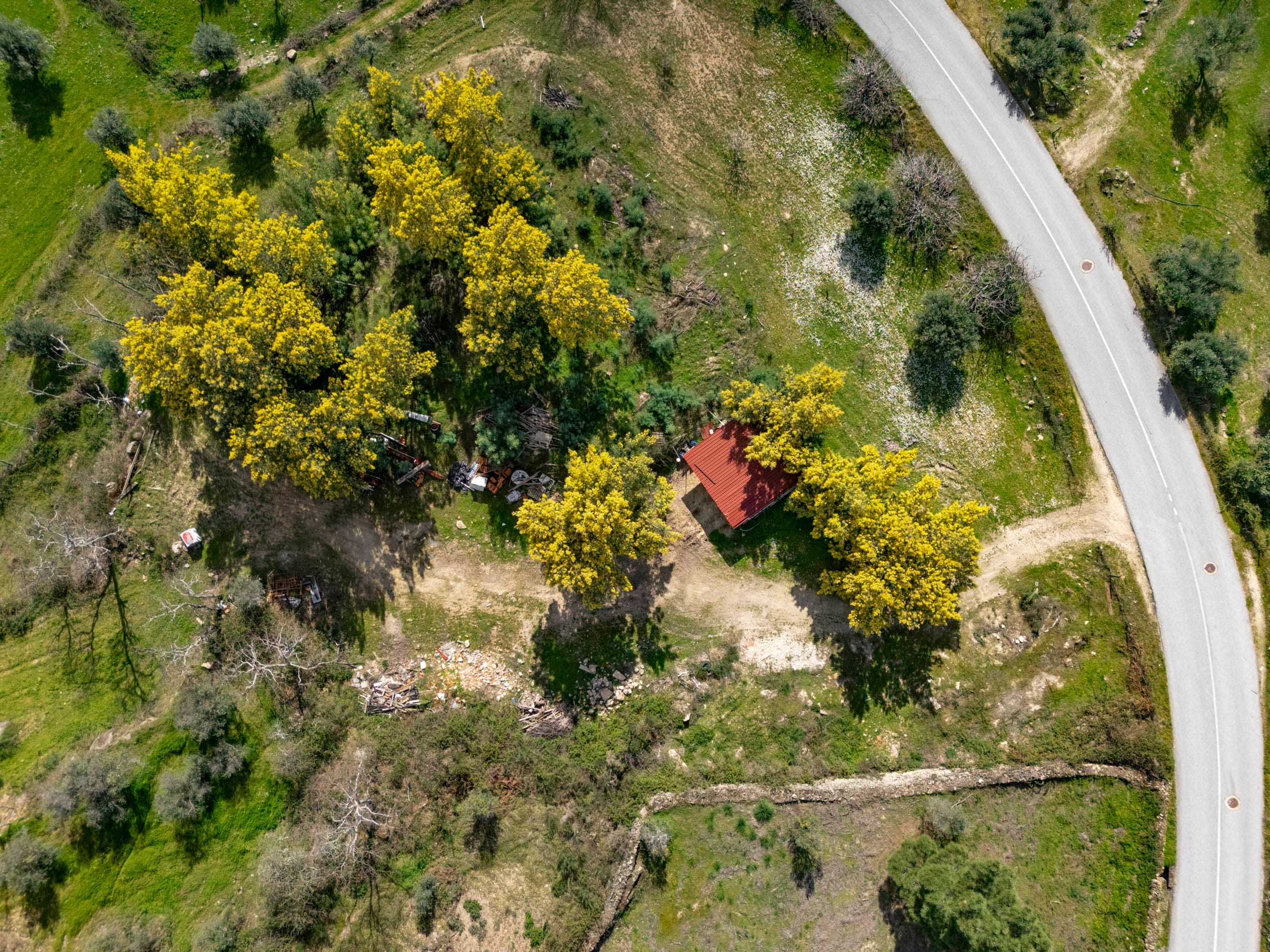 6,5 ha avec Abondance d'Arbres Fruitiers et Sources d'Eau - Image 1