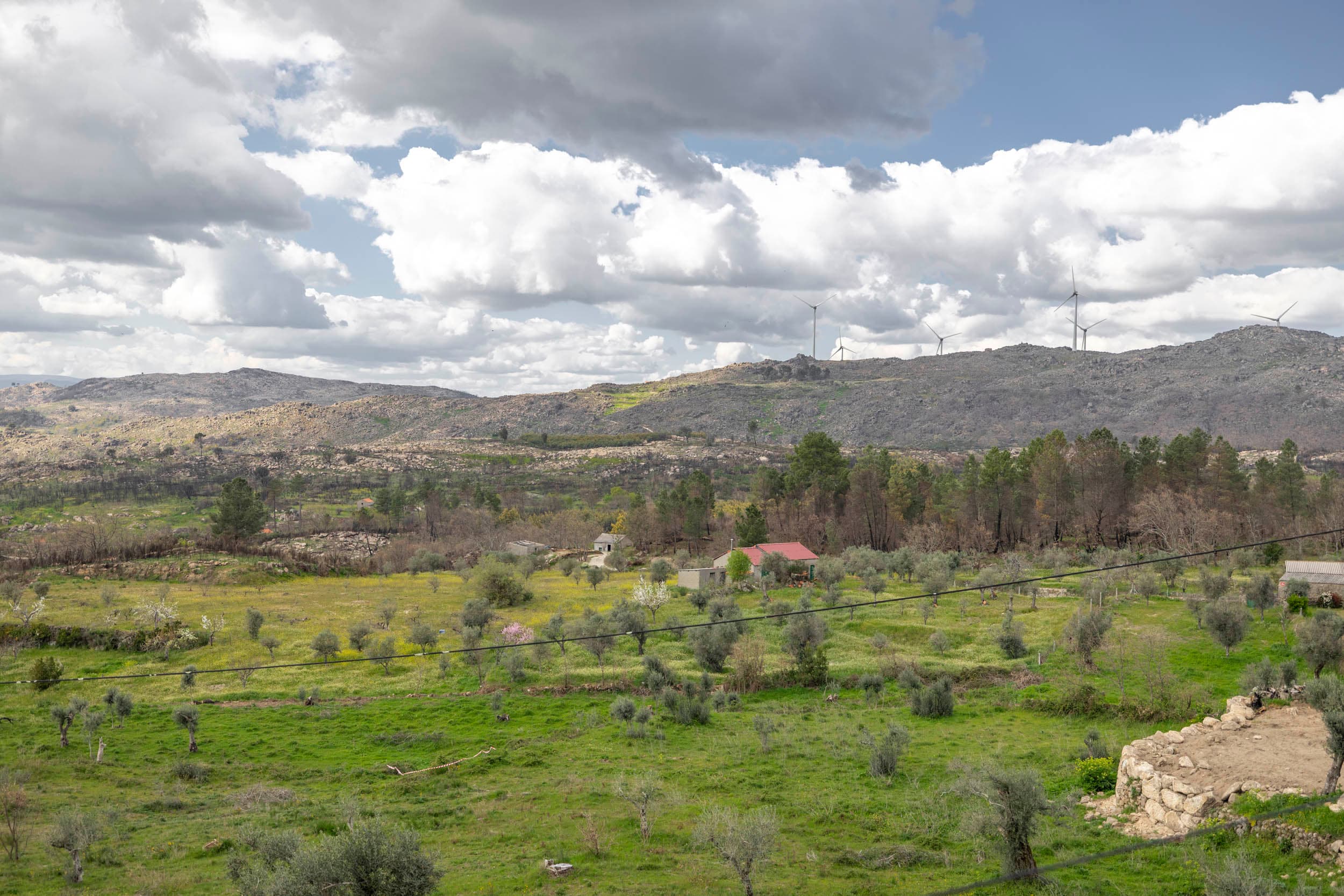 Charming T3 House with Stunning Views and Garden - Image 3