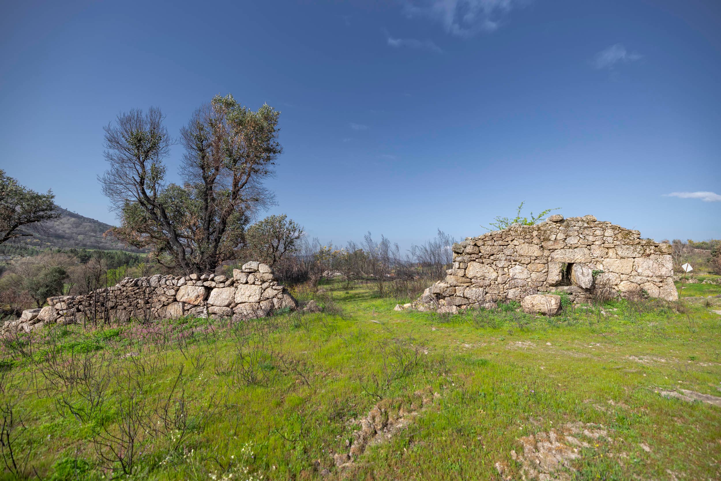 Rural Stone House with 1.3ha Land and 3 Water Sources - Image 20