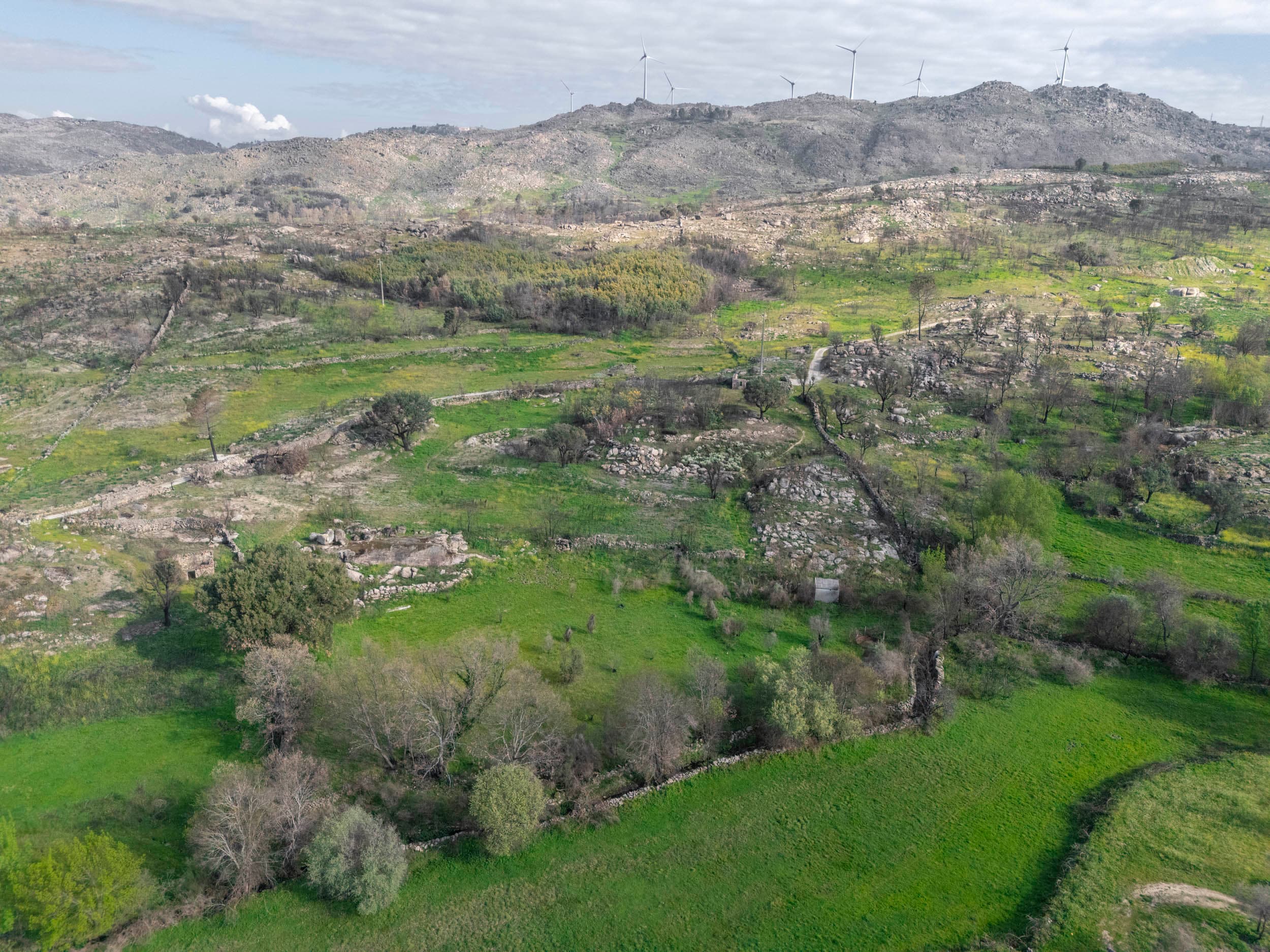 Rural Stone House with 1.3ha Land and 3 Water Sources - Image 3