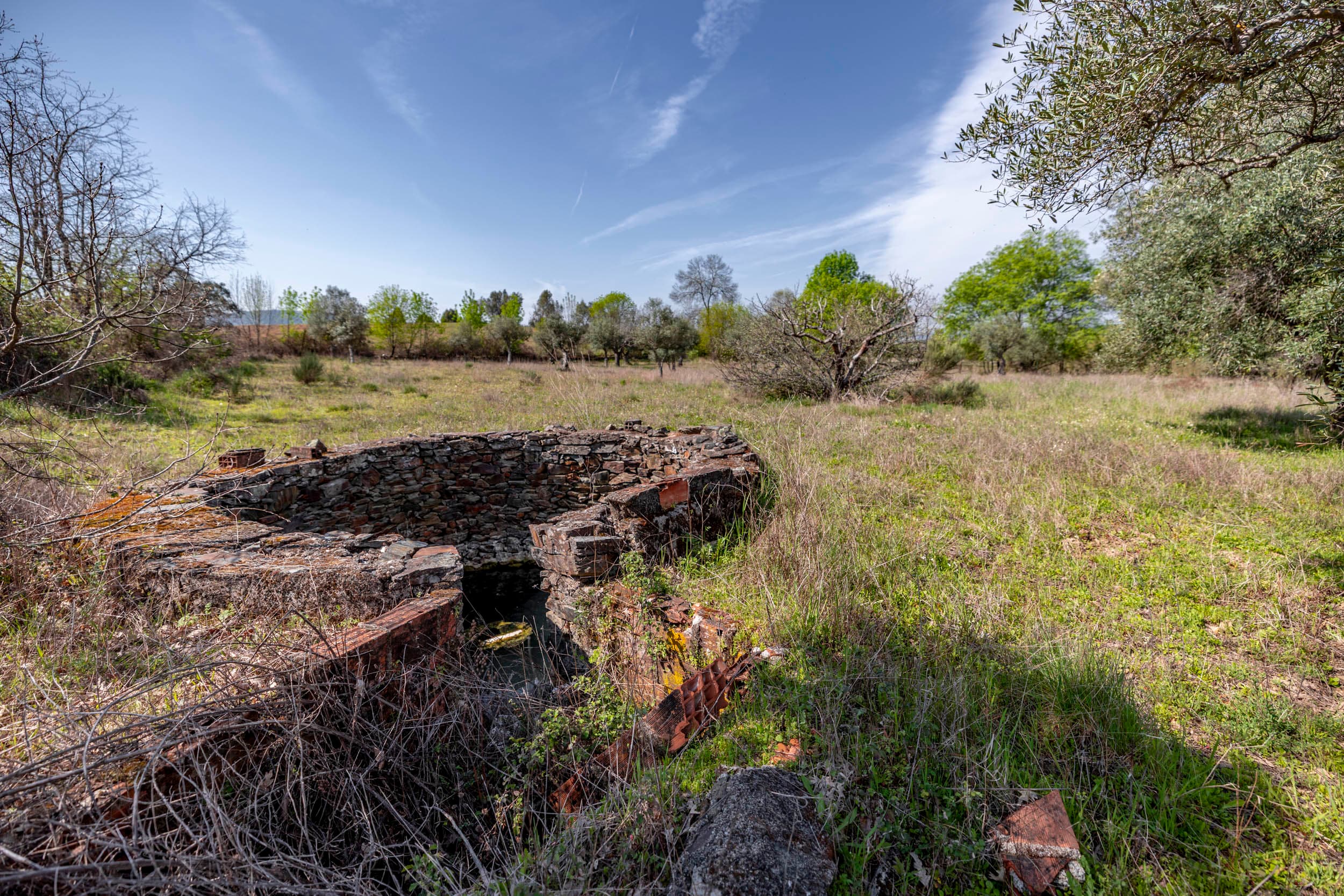 5000m² with Warehouse and Well Near Benquerença - Image 2