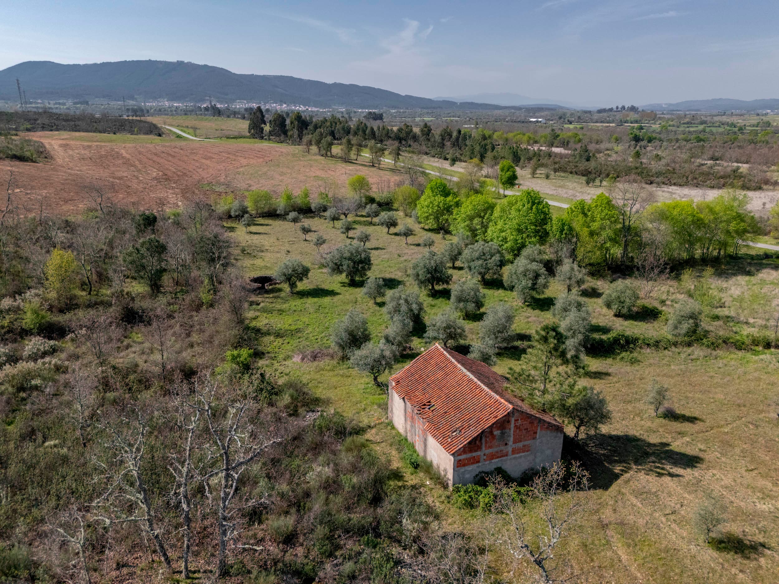 5000m² with Warehouse and Well Near Benquerença - Image 1