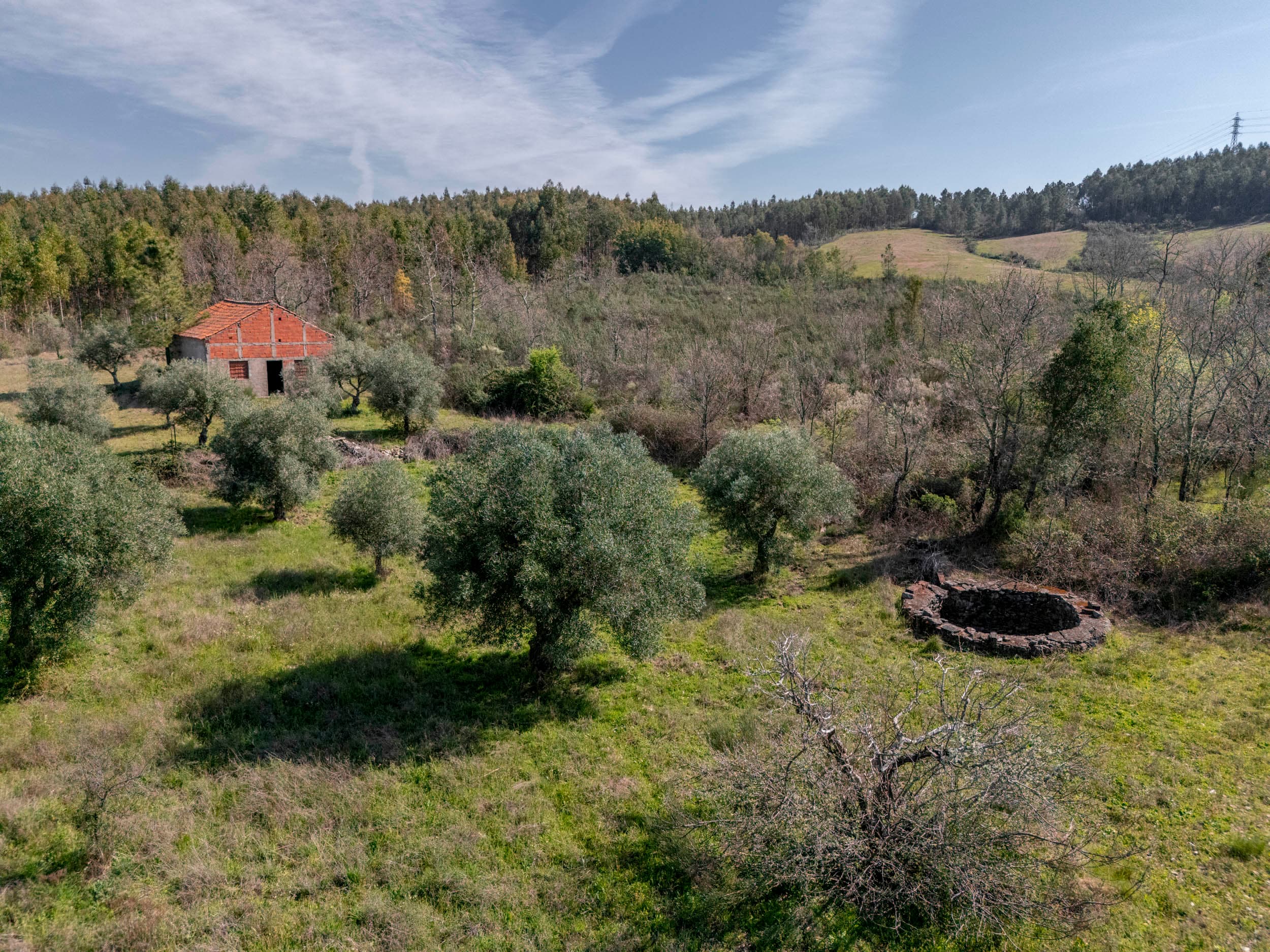 5000m² with Warehouse and Well Near Benquerença - Image 3