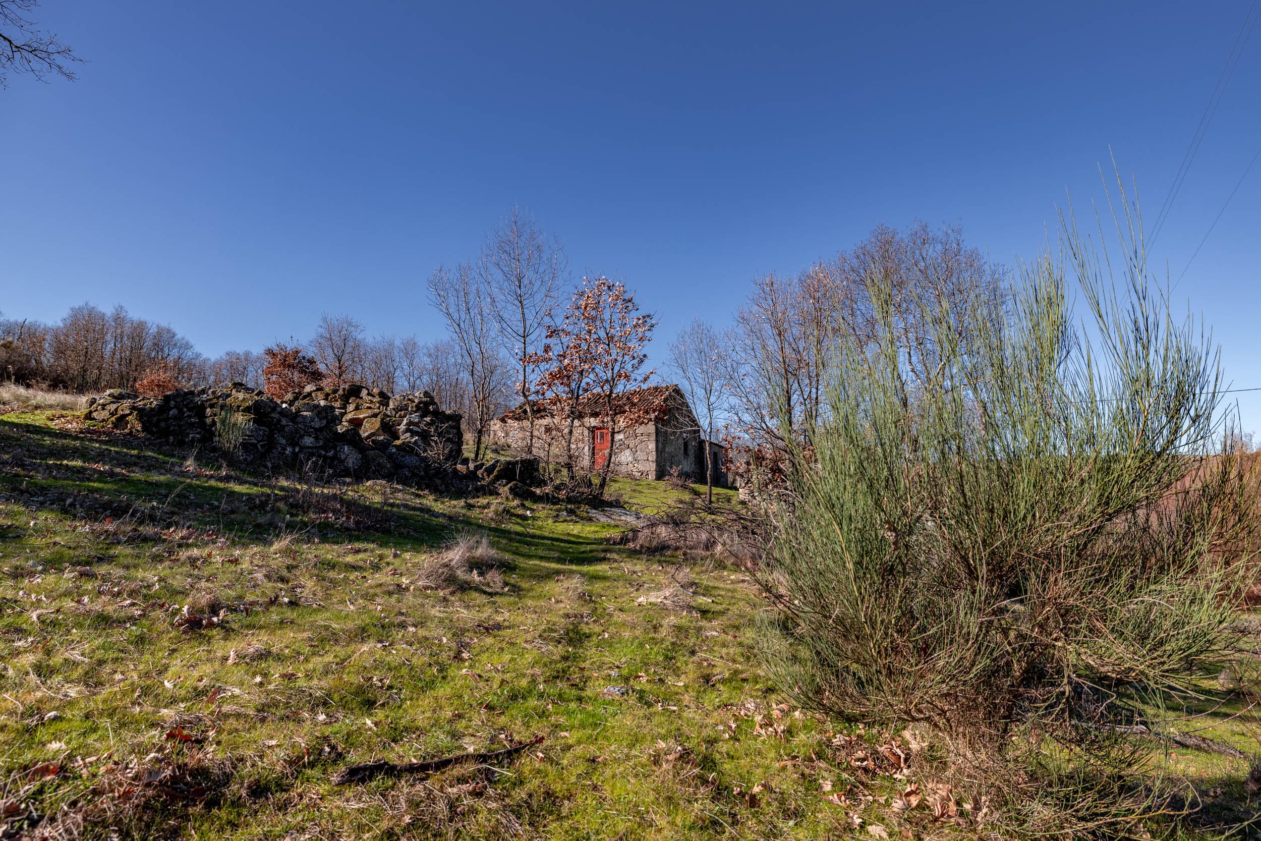 Stone Houses by the River