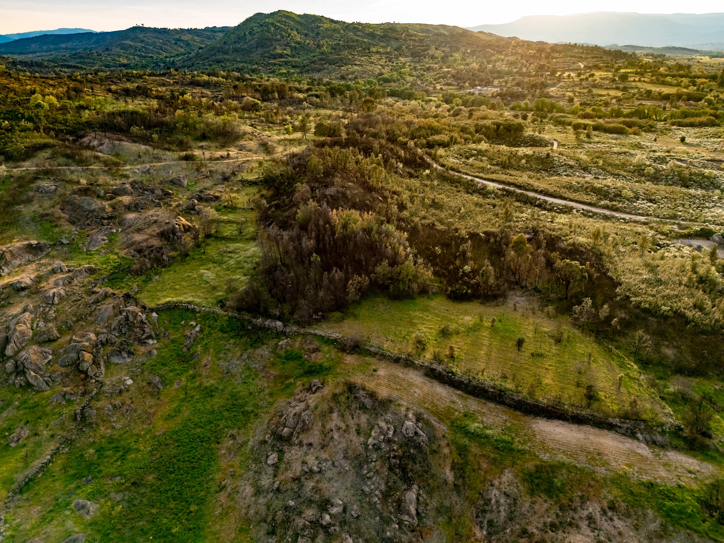 Hidden Land with Ruin, Water and Olive Trees - Image 7