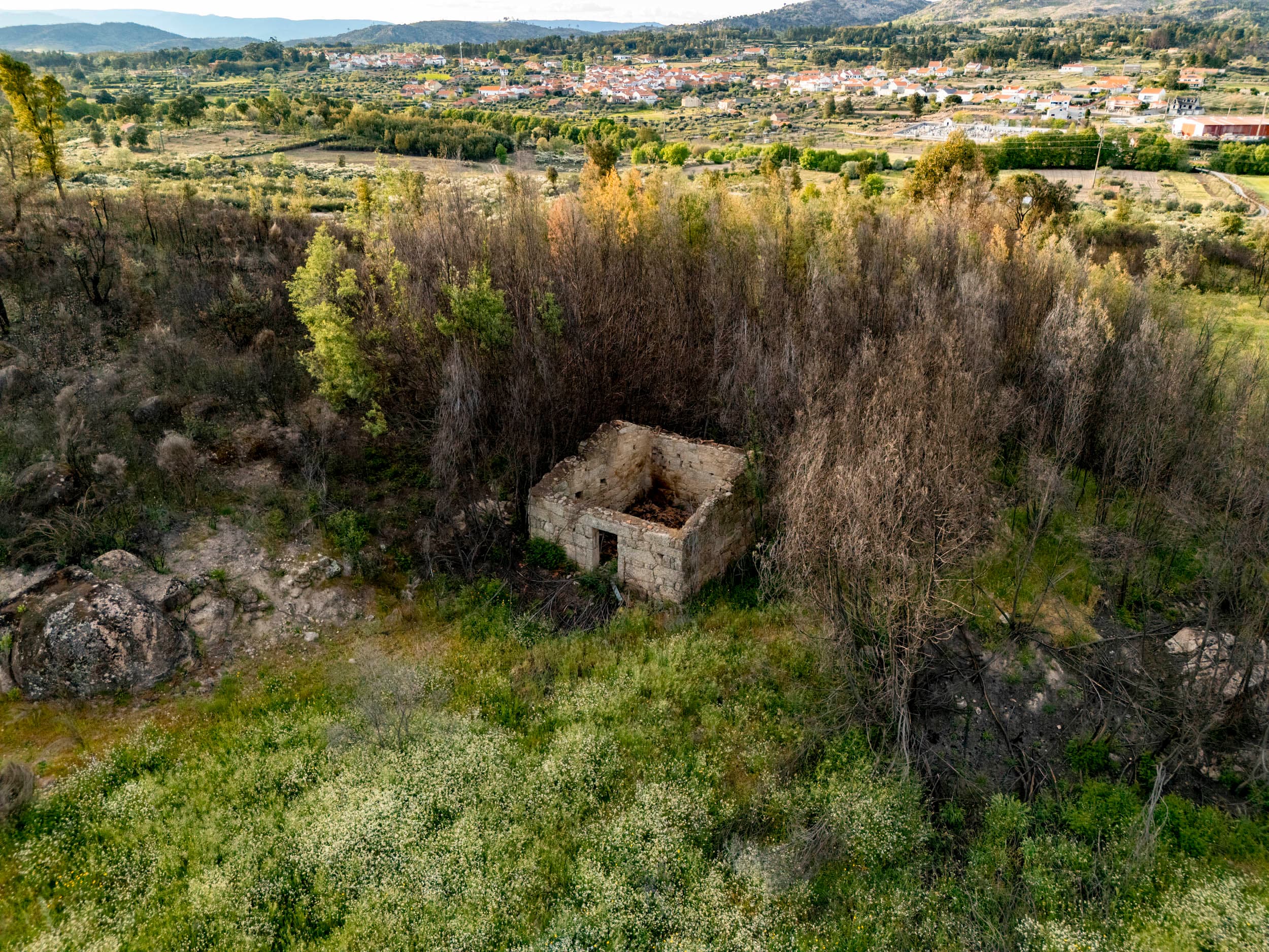 Hidden Land with Ruin, Water and Olive Trees
