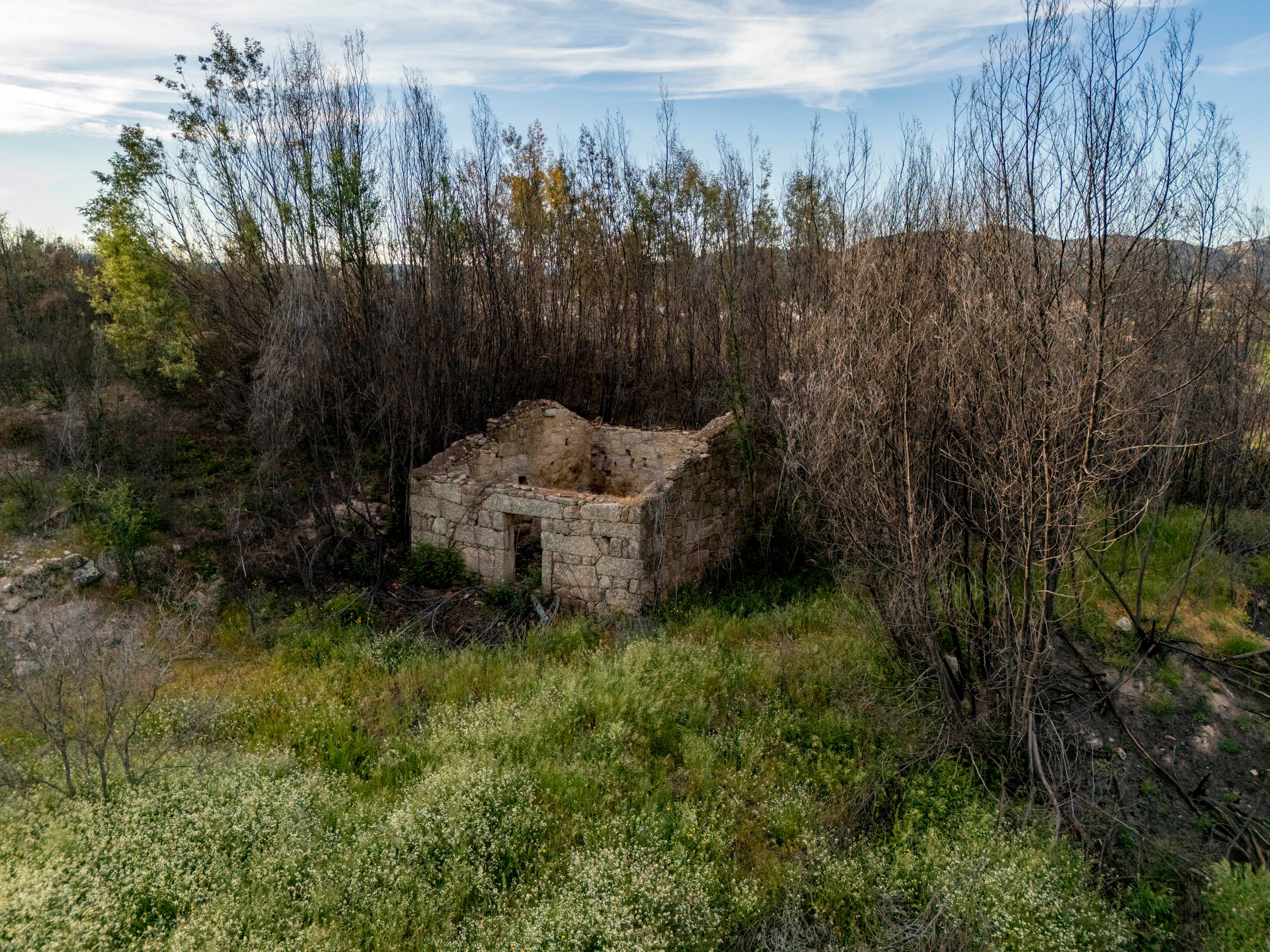 Hidden Land with Ruin, Water and Olive Trees - Image 3