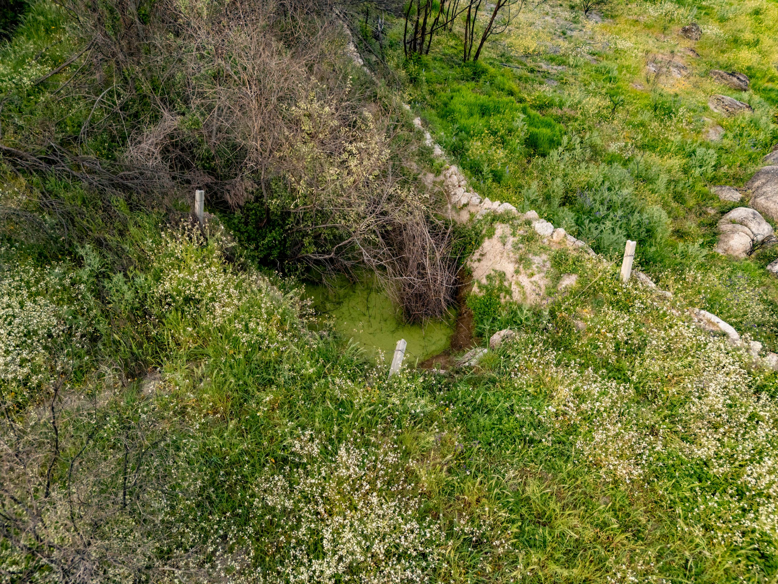 Hidden Land with Ruin, Water and Olive Trees - Image 1