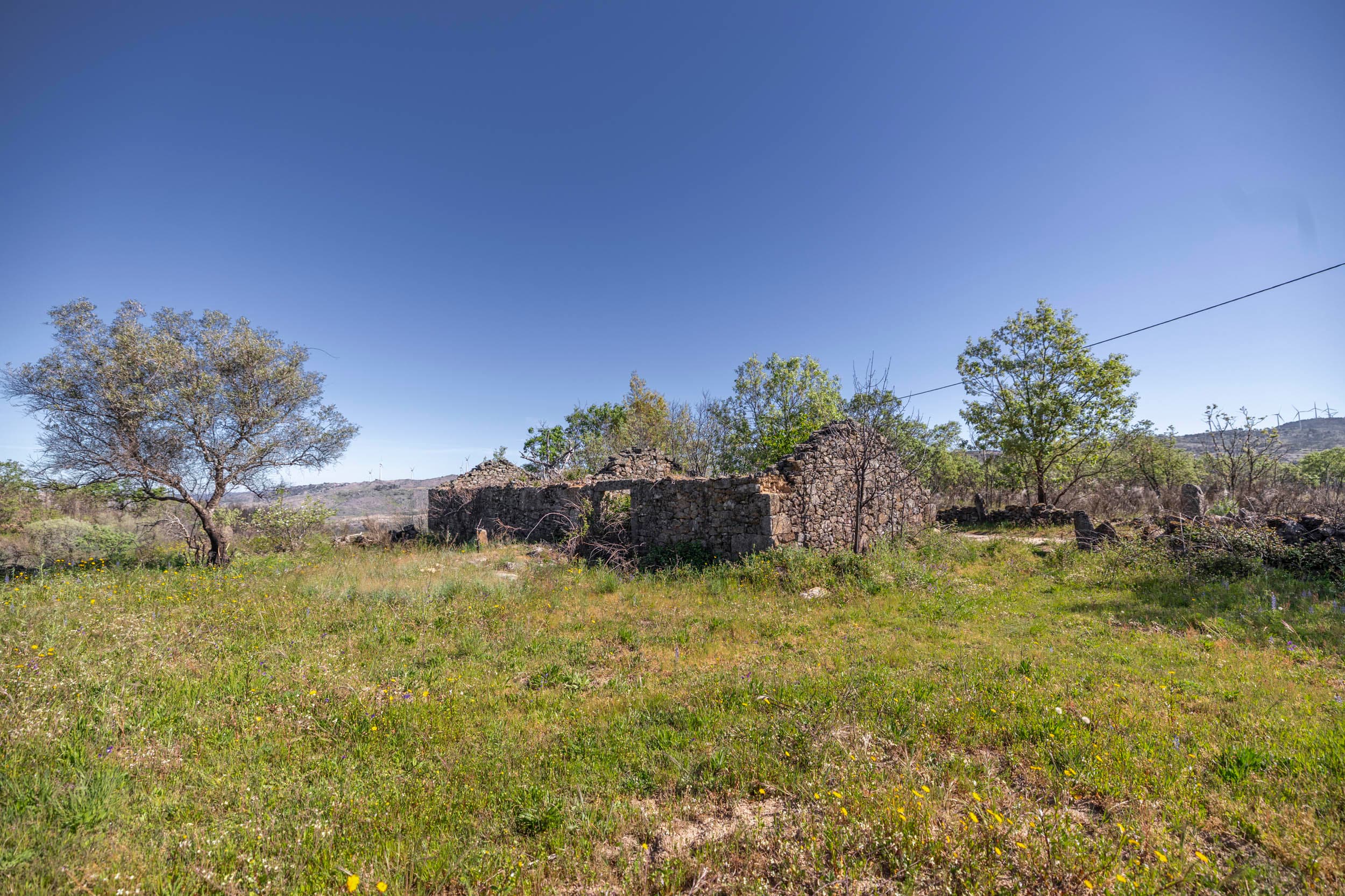 Terreno con Rudere e Foresta a Sabugal