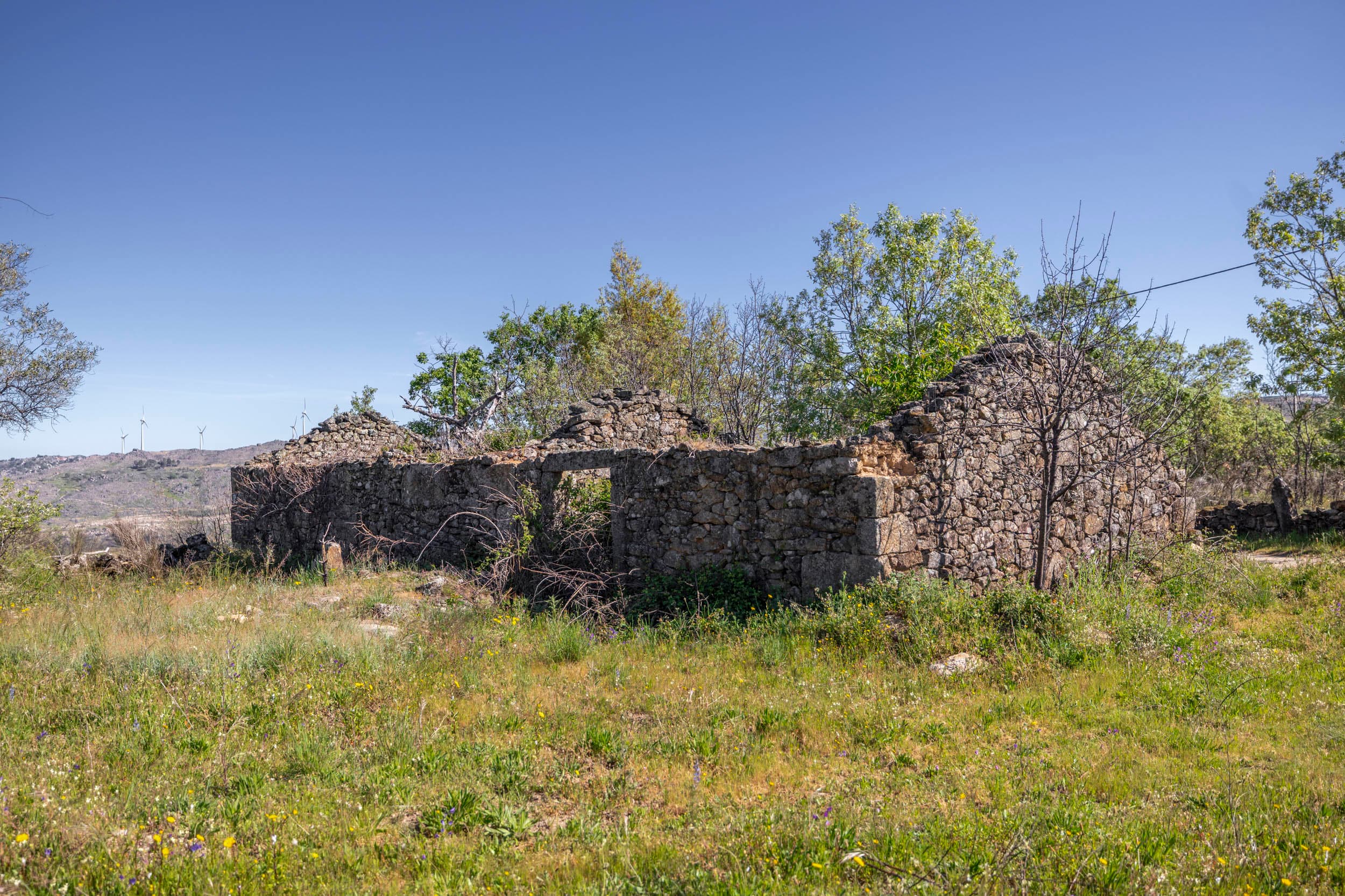 Grundstück mit Ruine und Wald in Sabugal - Image 23