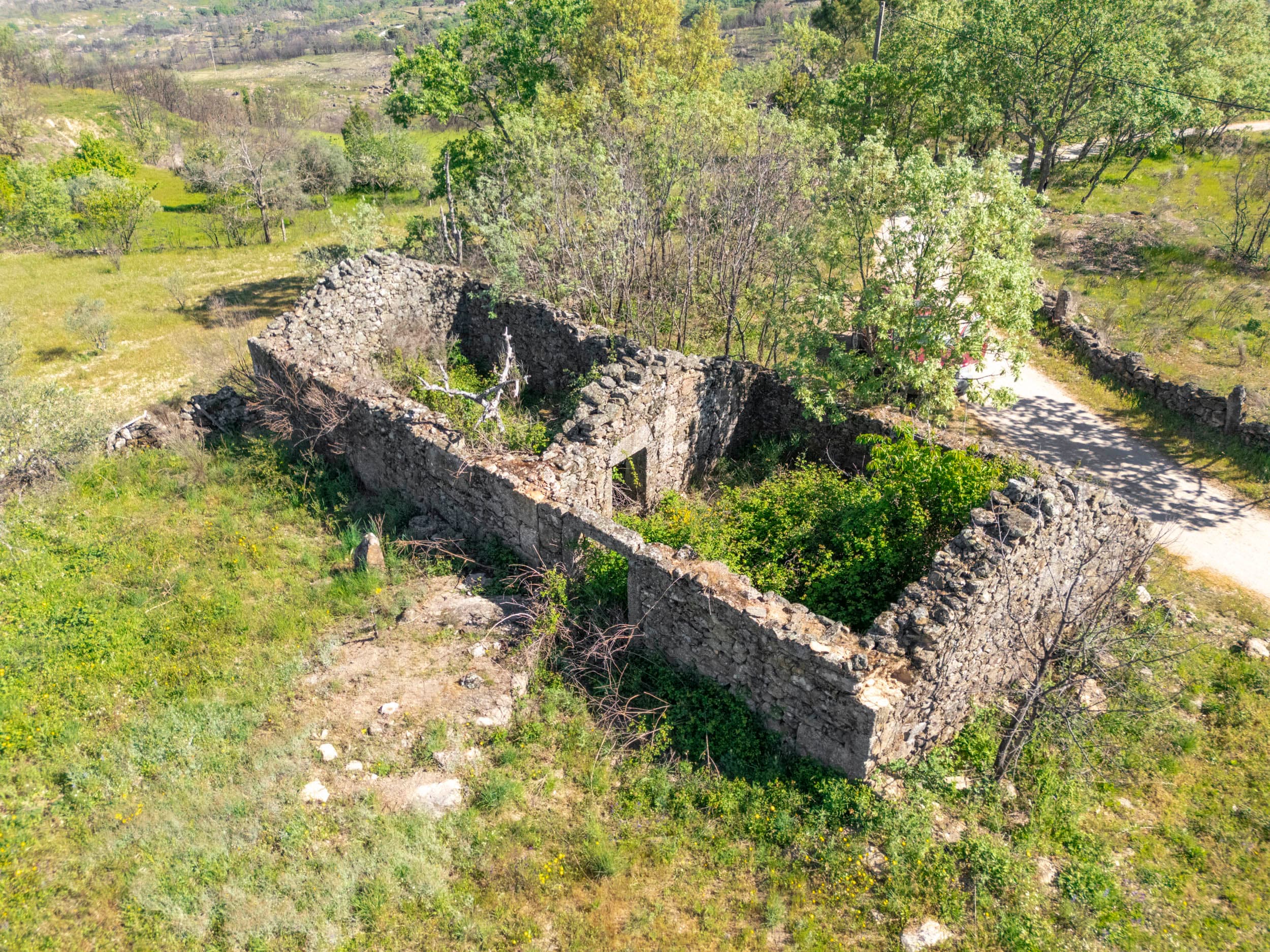 Grundstück mit Ruine und Wald in Sabugal - Image 2