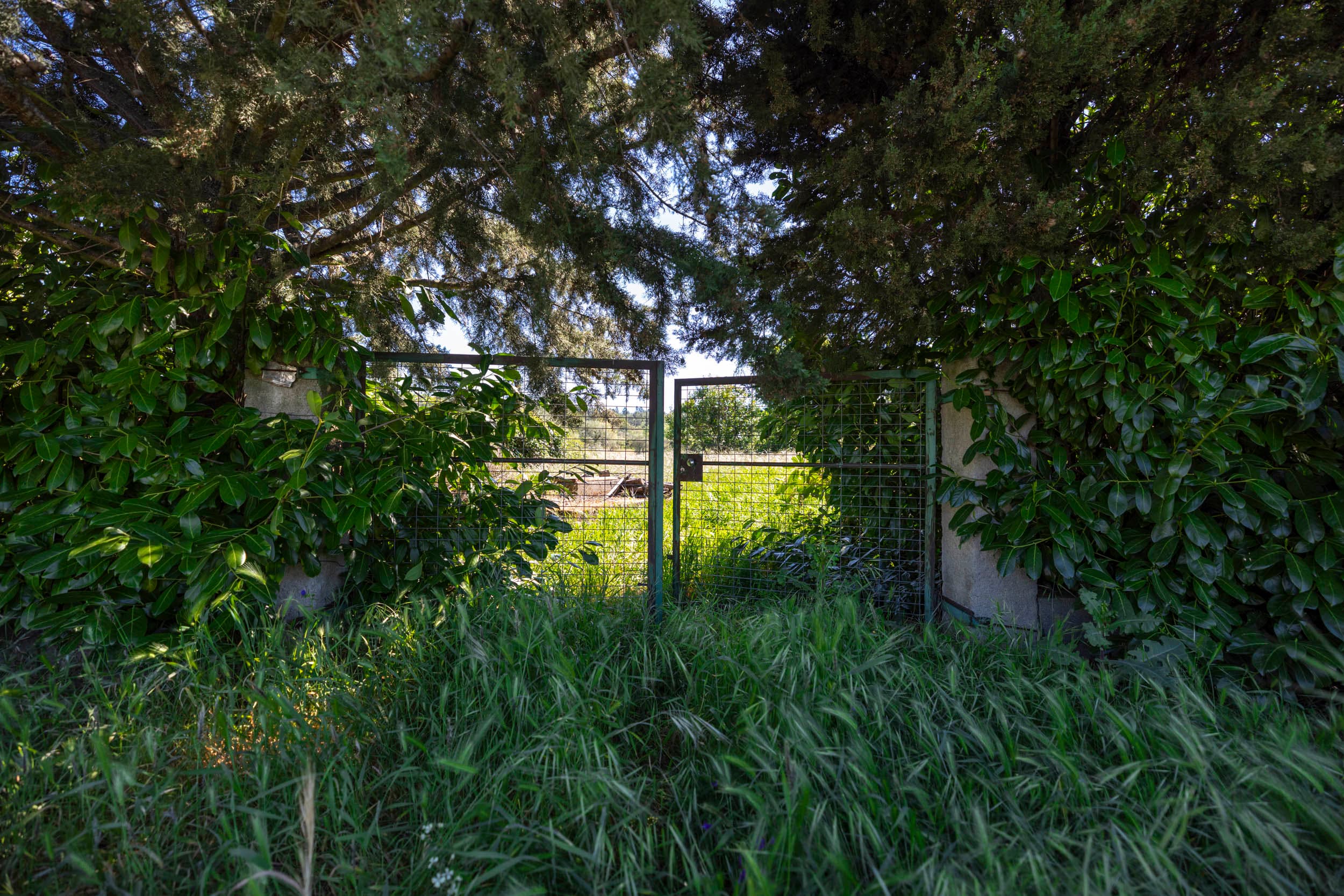 3000m² Grundstück mit Brunnen und Straßenanbindung - Image 1