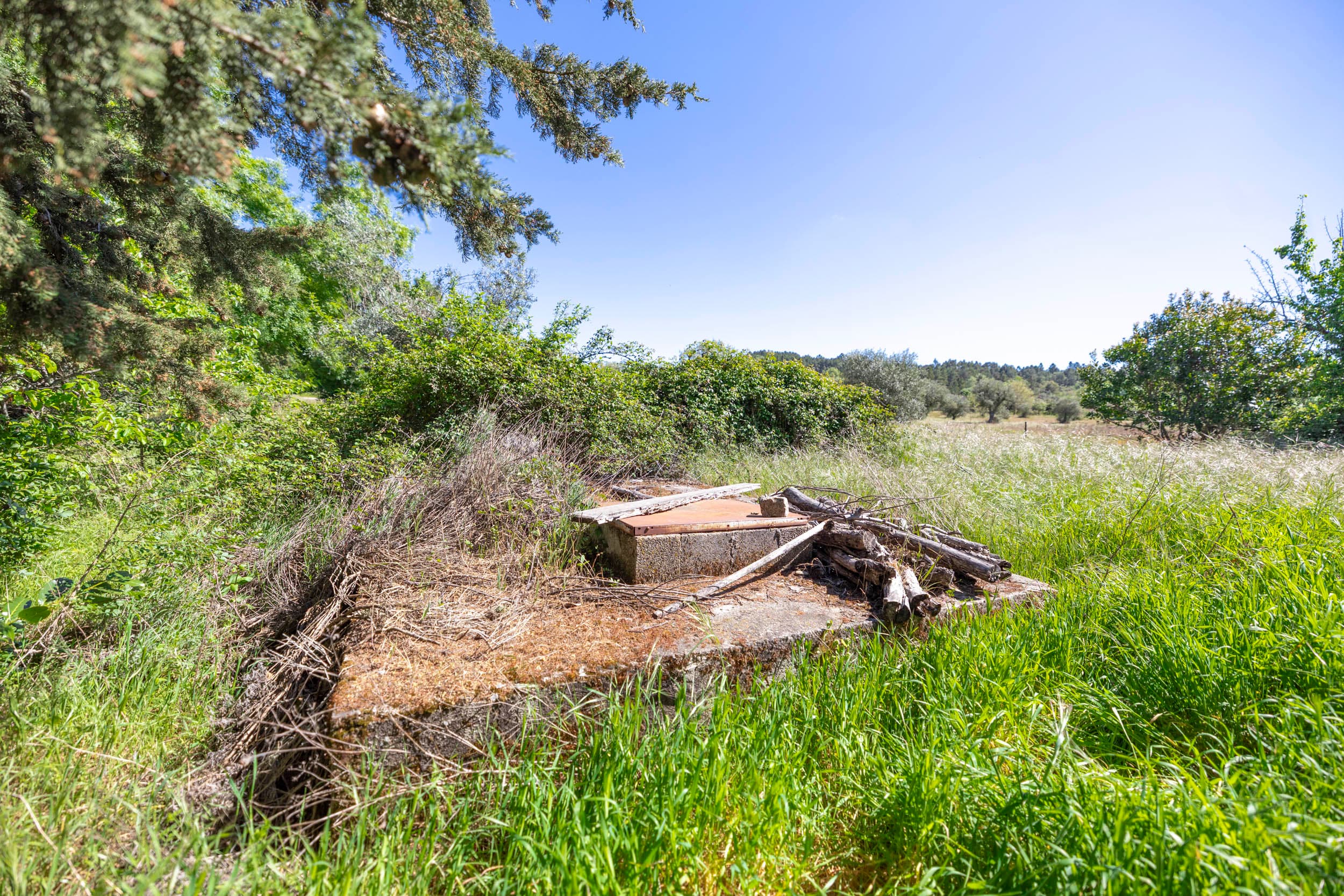 3000m² Grundstück mit Brunnen und Straßenanbindung - Image 3