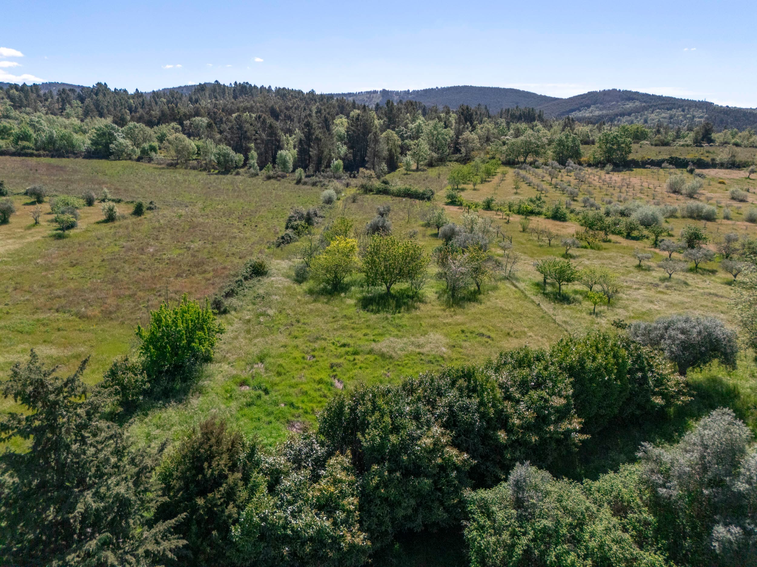 Terrain de 3000m² avec Puits et Accès Routier