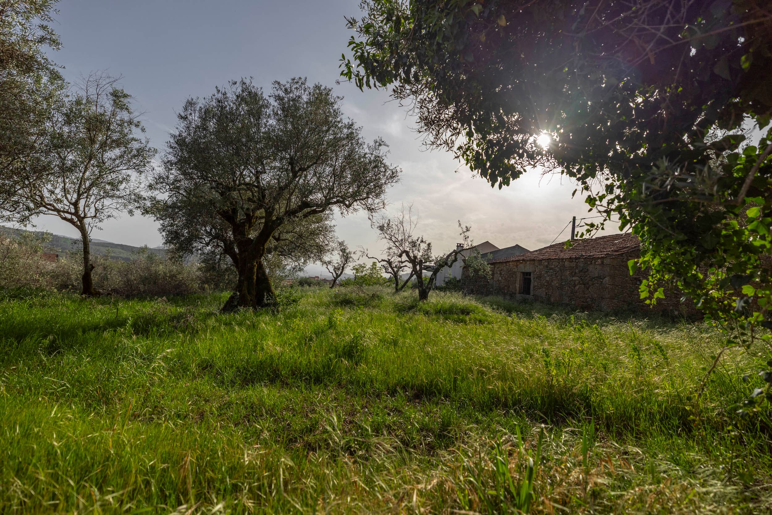 Urban Land with Old Stone House in Santo Estêvão - Image 3