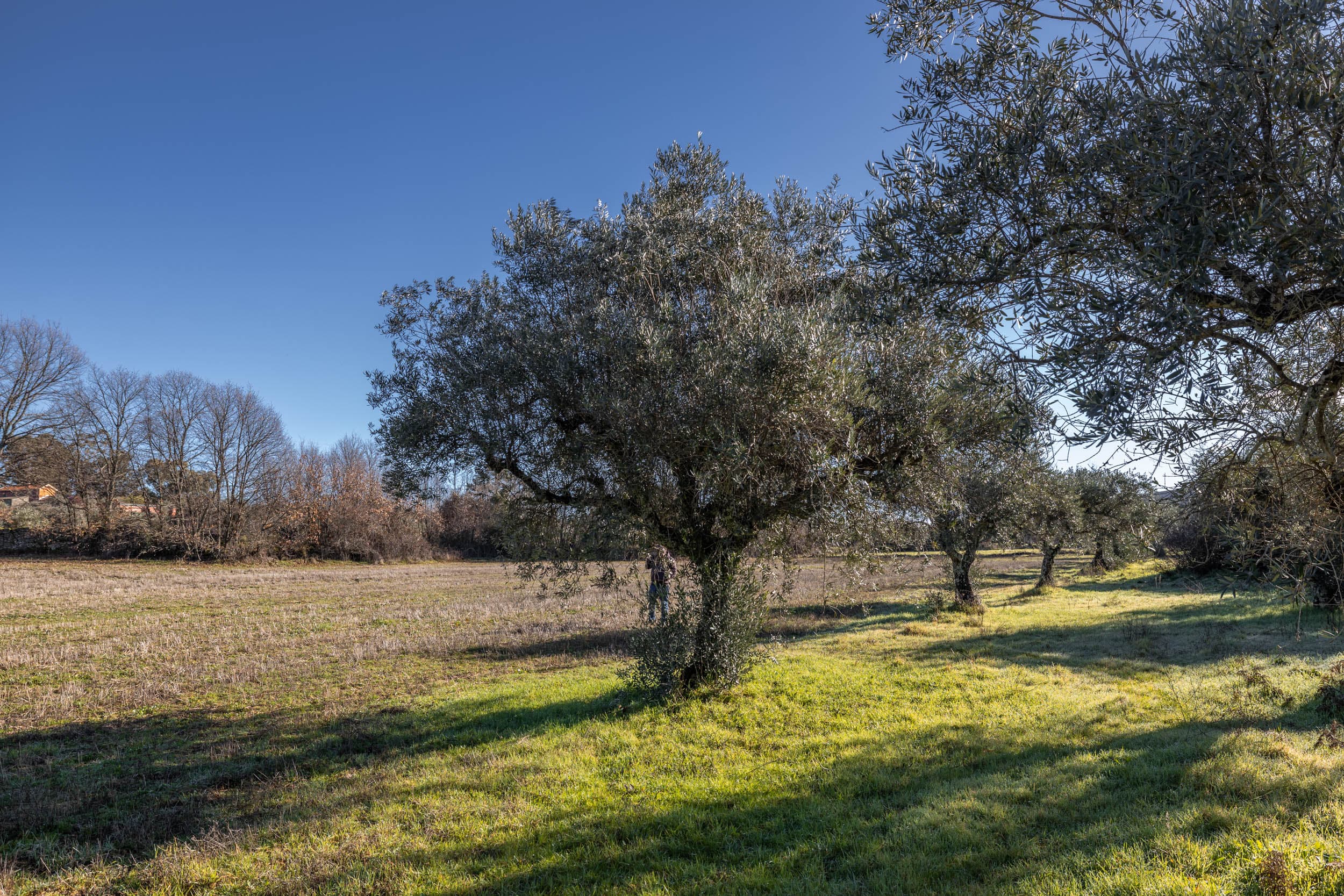 1 ha of tranquil land with alot of water. - Image 2
