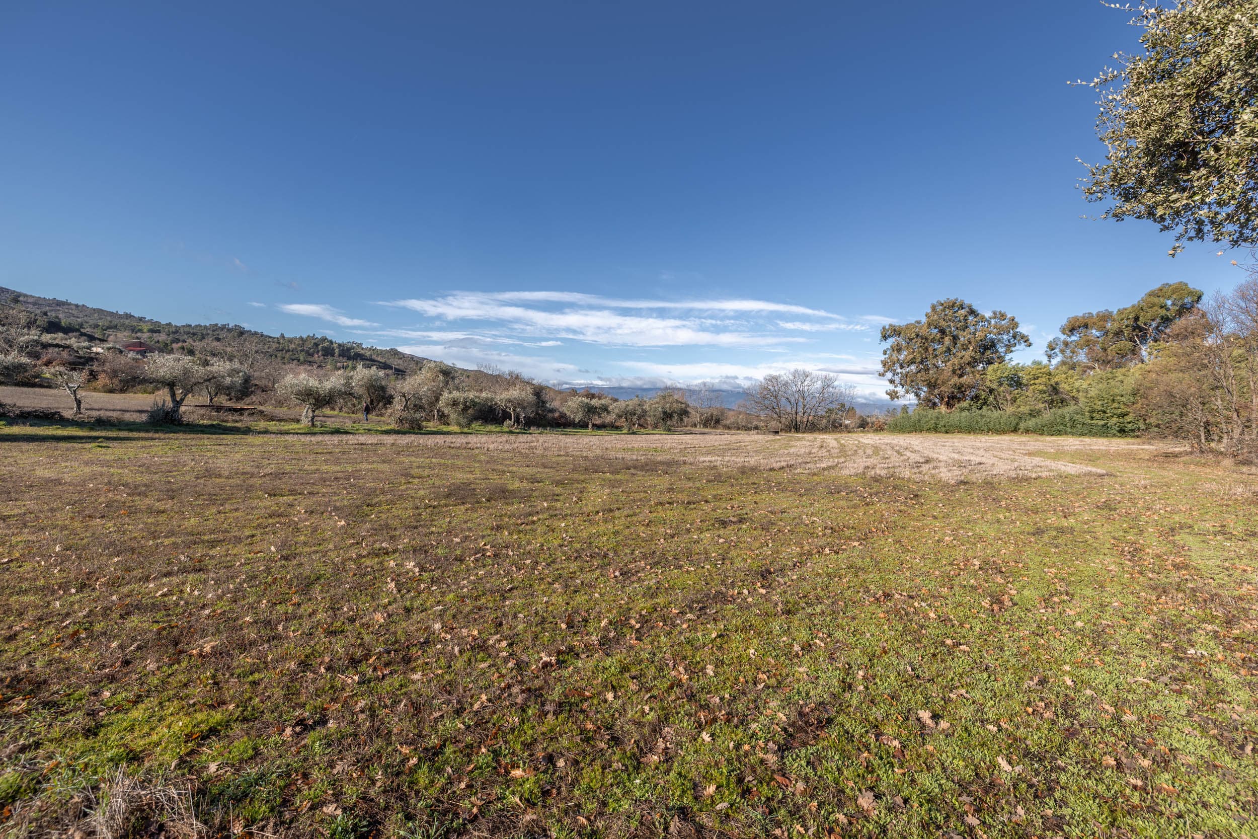 1 ha of tranquil land with alot of water. - Image 3