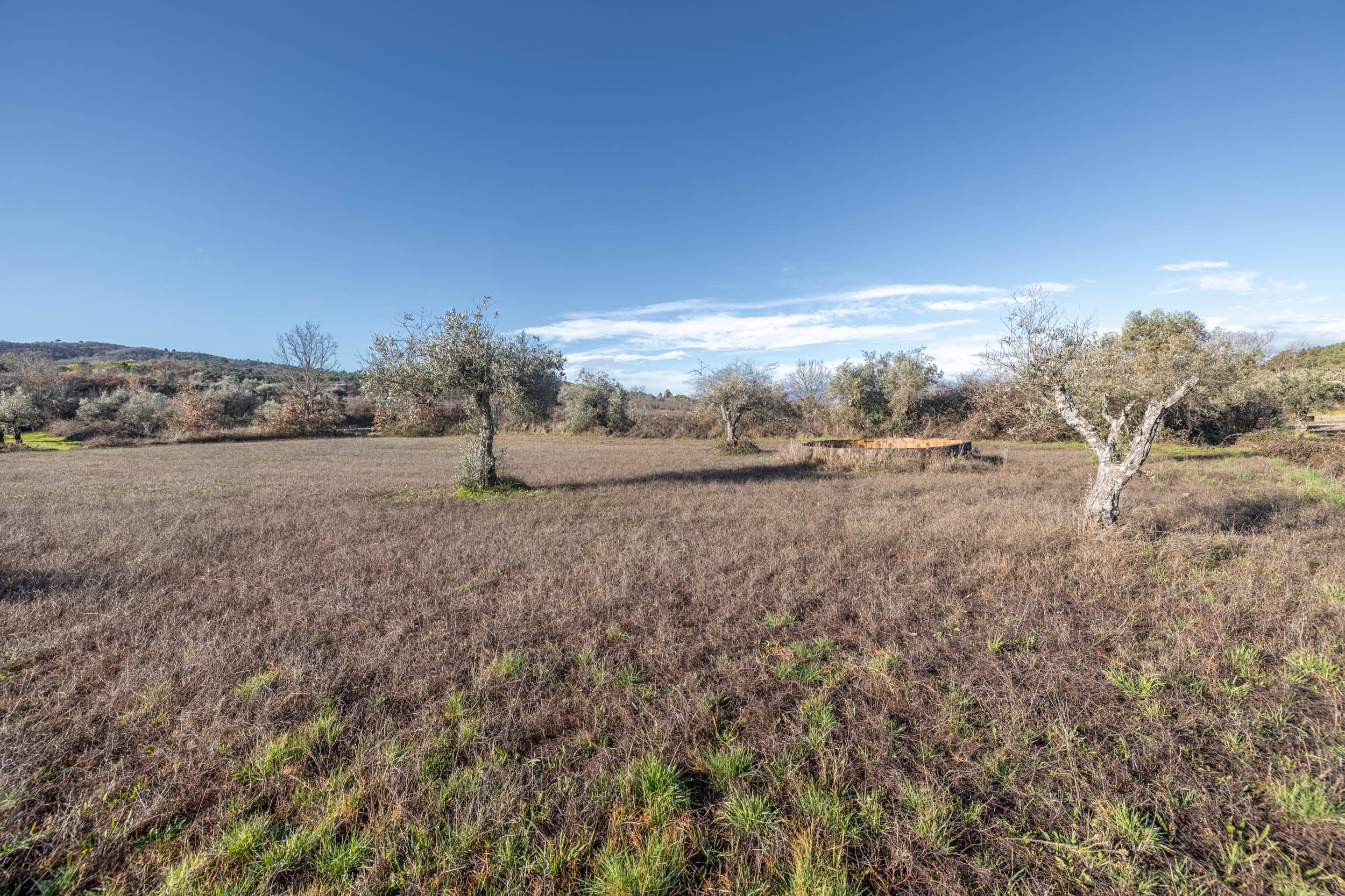 Deux Prairies Calmes Près du Village - Image 1