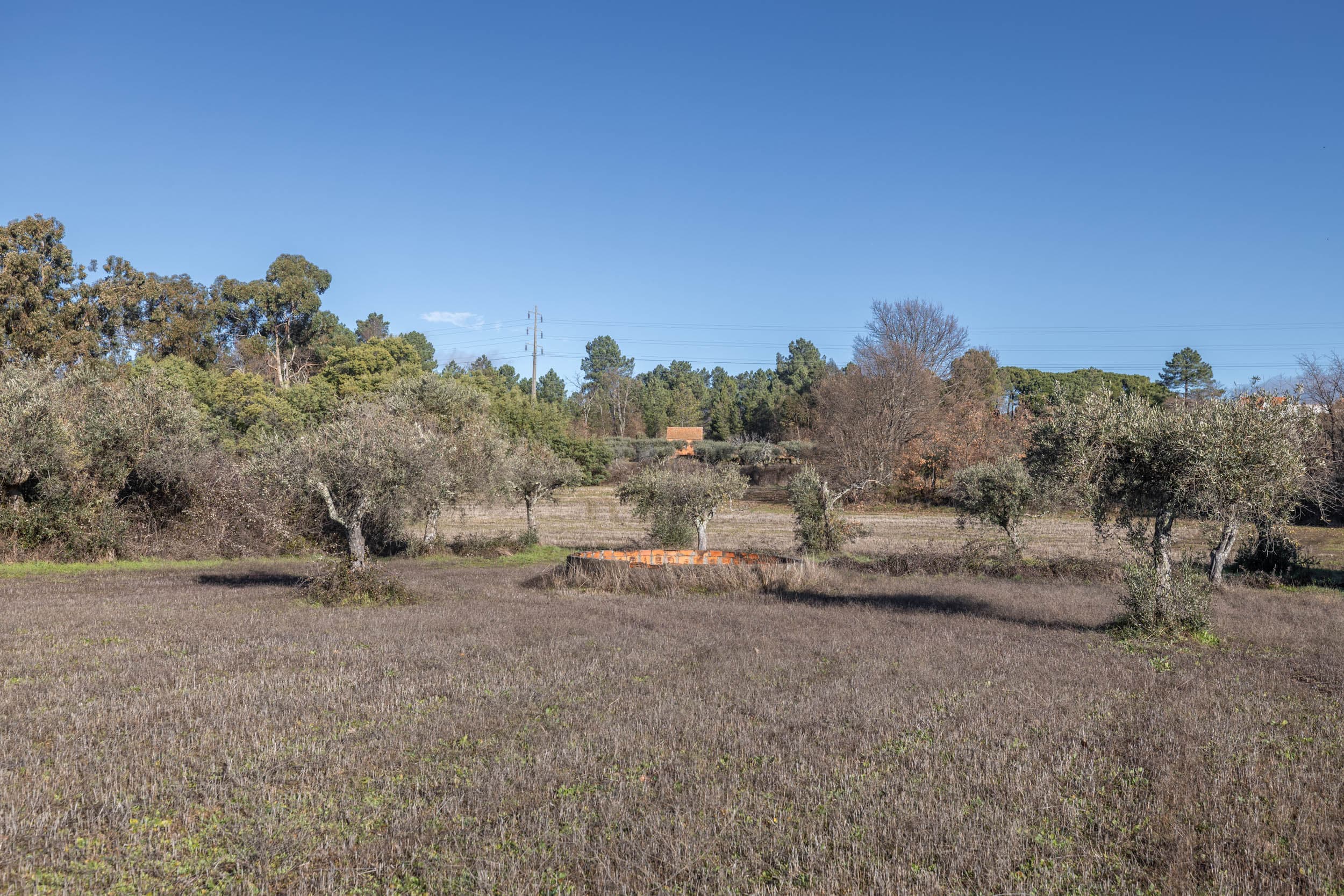 Deux Prairies Calmes Près du Village - Image 3