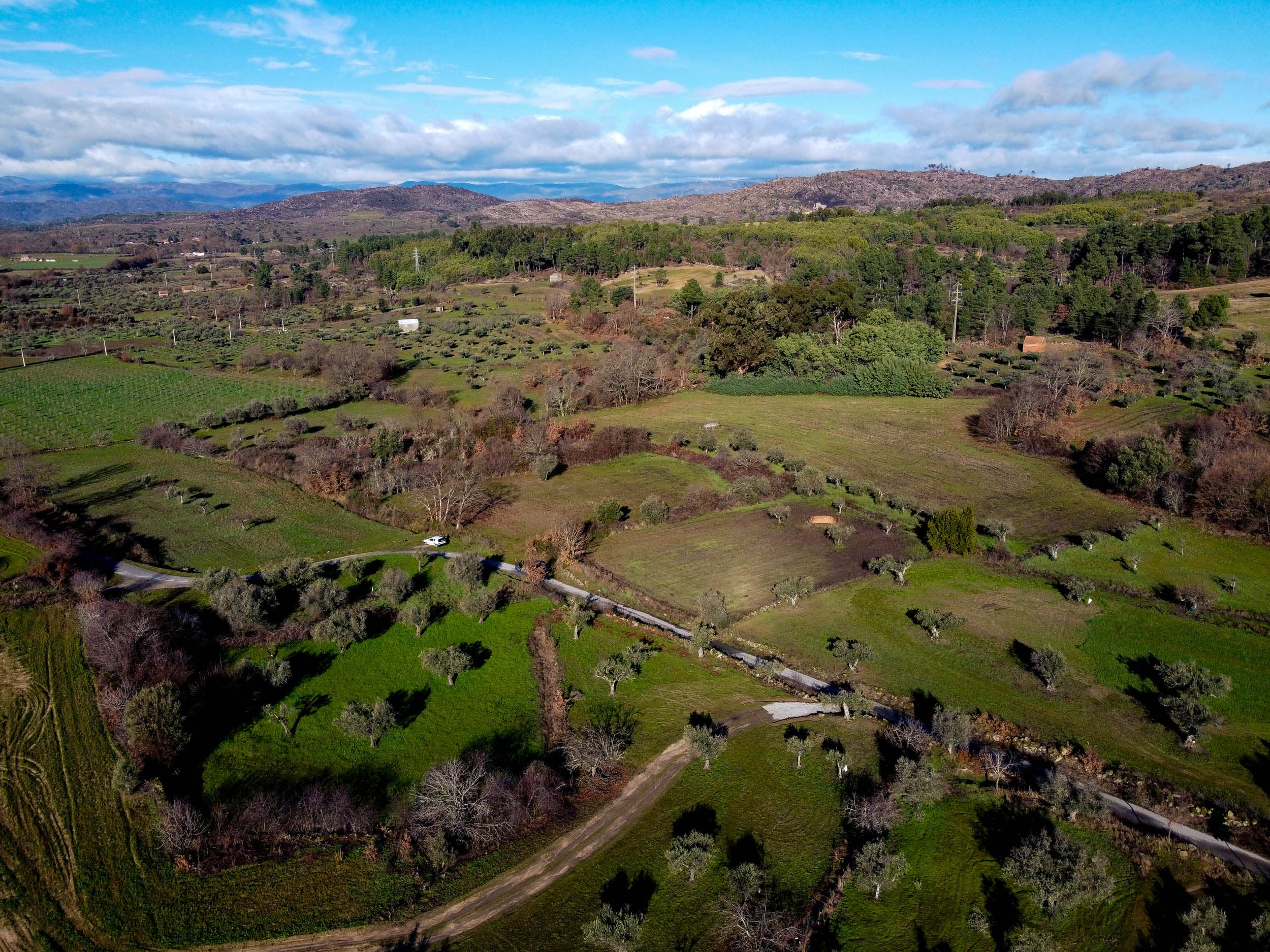 1 ha of tranquil land with alot of water. - Image 20