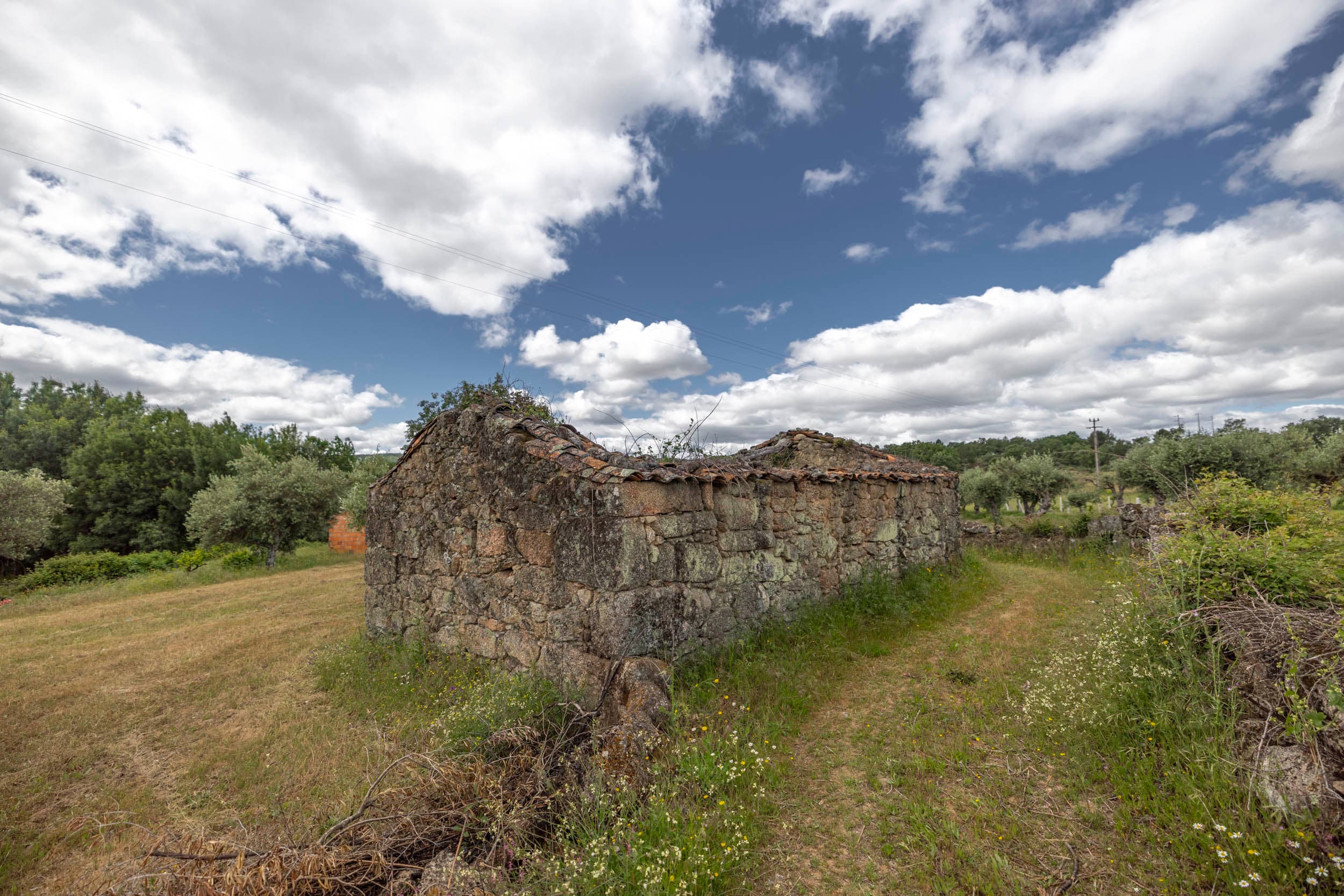 Small Land with Ruin near Sortelha - Image 17