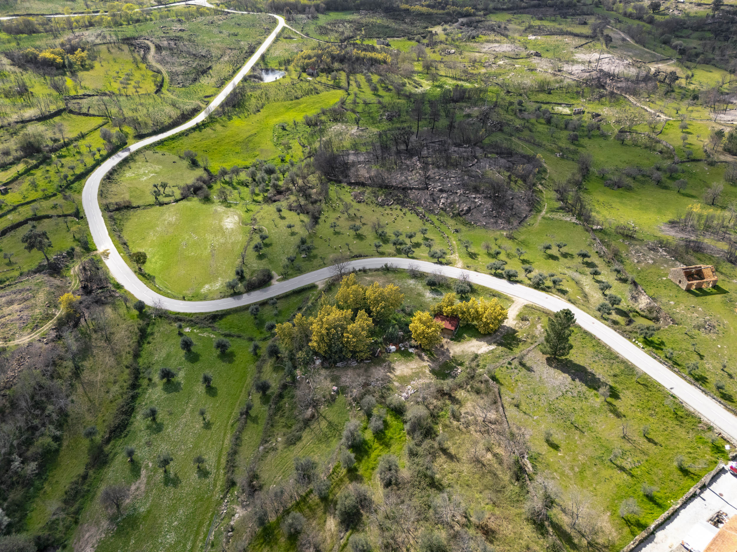 Plan de la Propriété